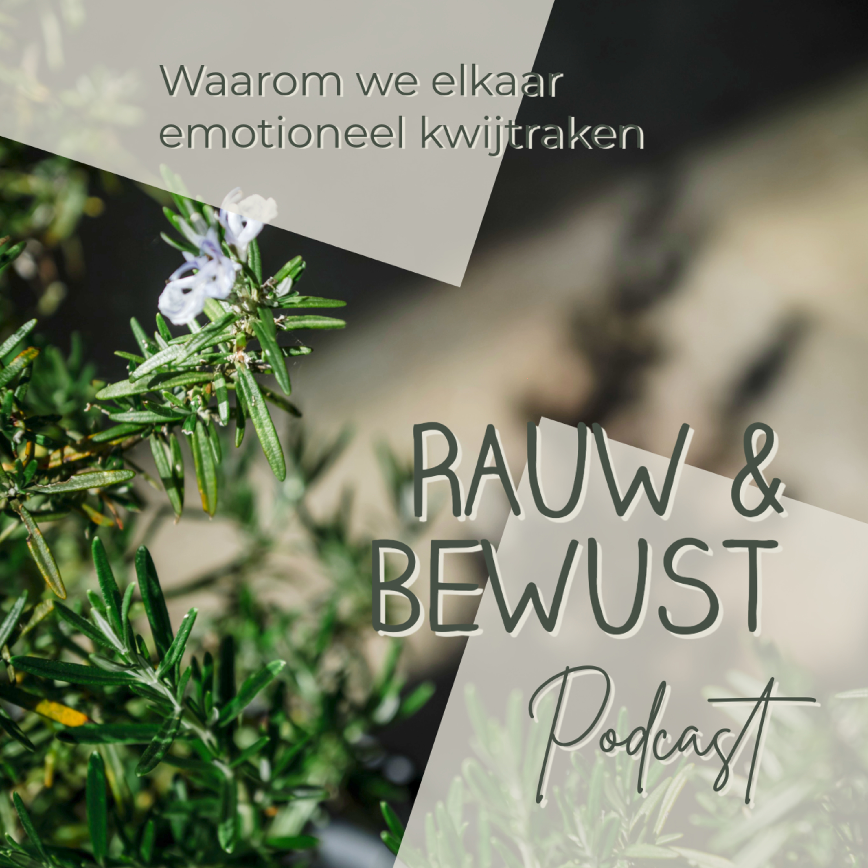 Waarom we elkaar emotioneel kwijtraken episode artwork
