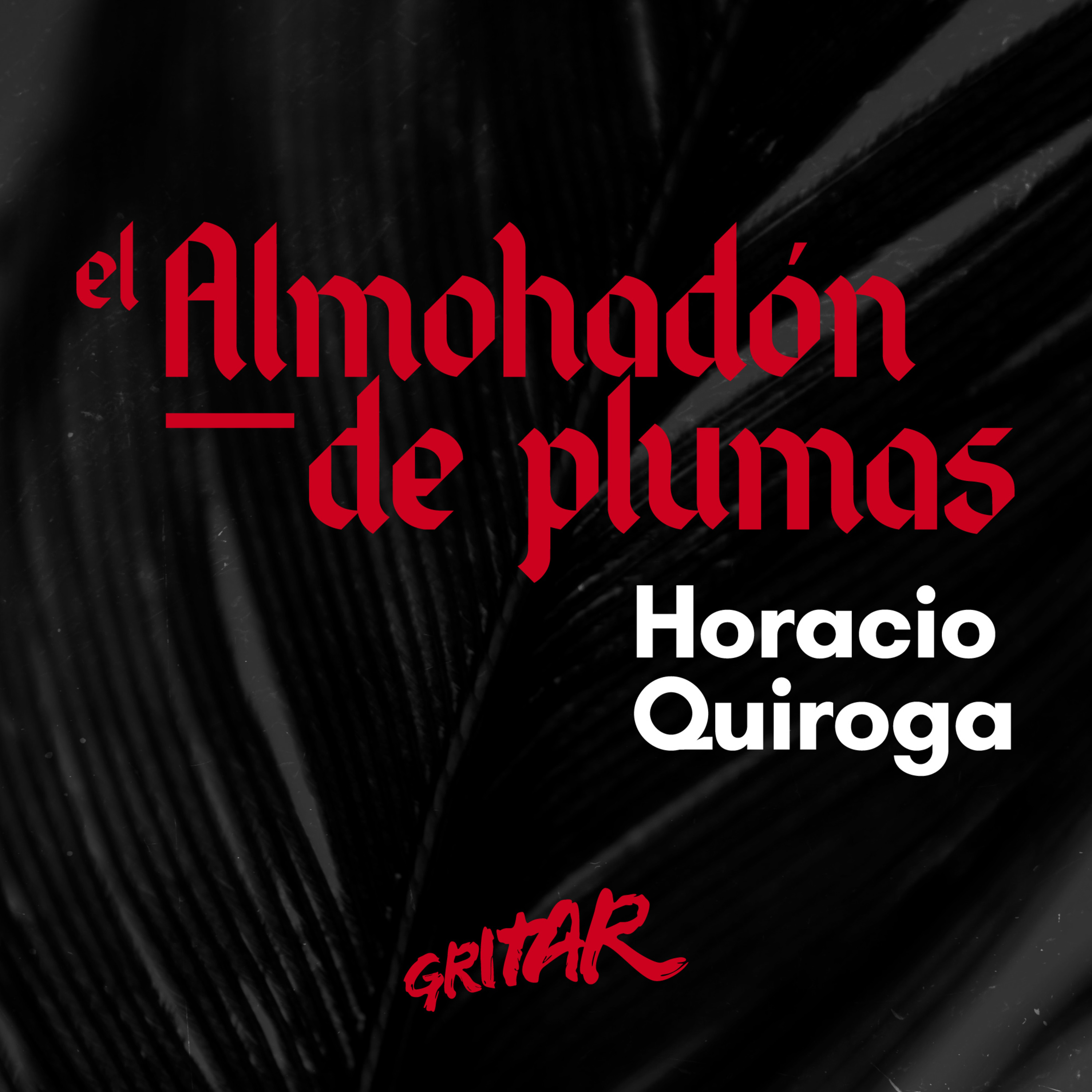 El almohadón de plumas - Horacio Quiroga (Audiocuento) episode artwork