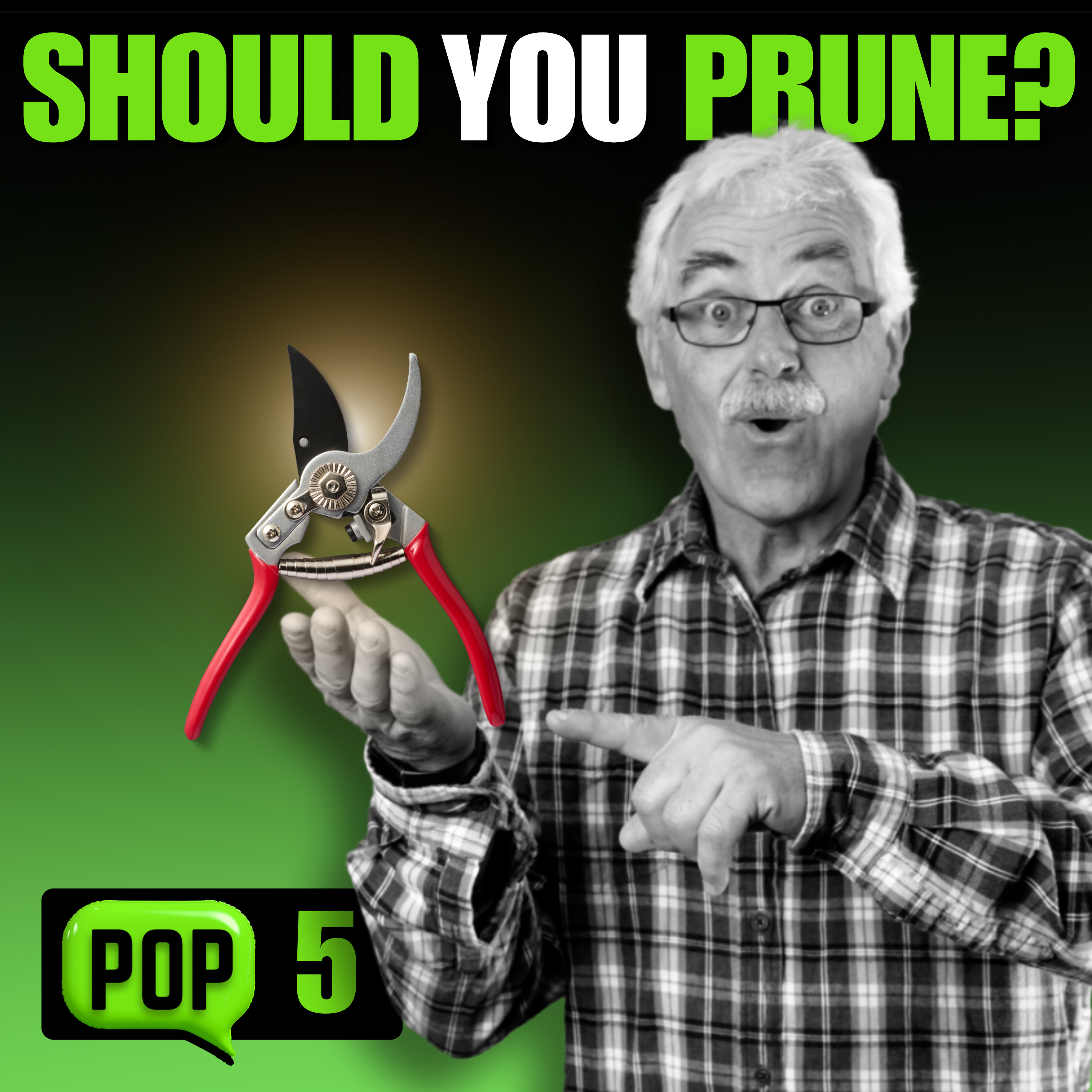 The French PRUNING Secret to More Fruit with Less Work!
