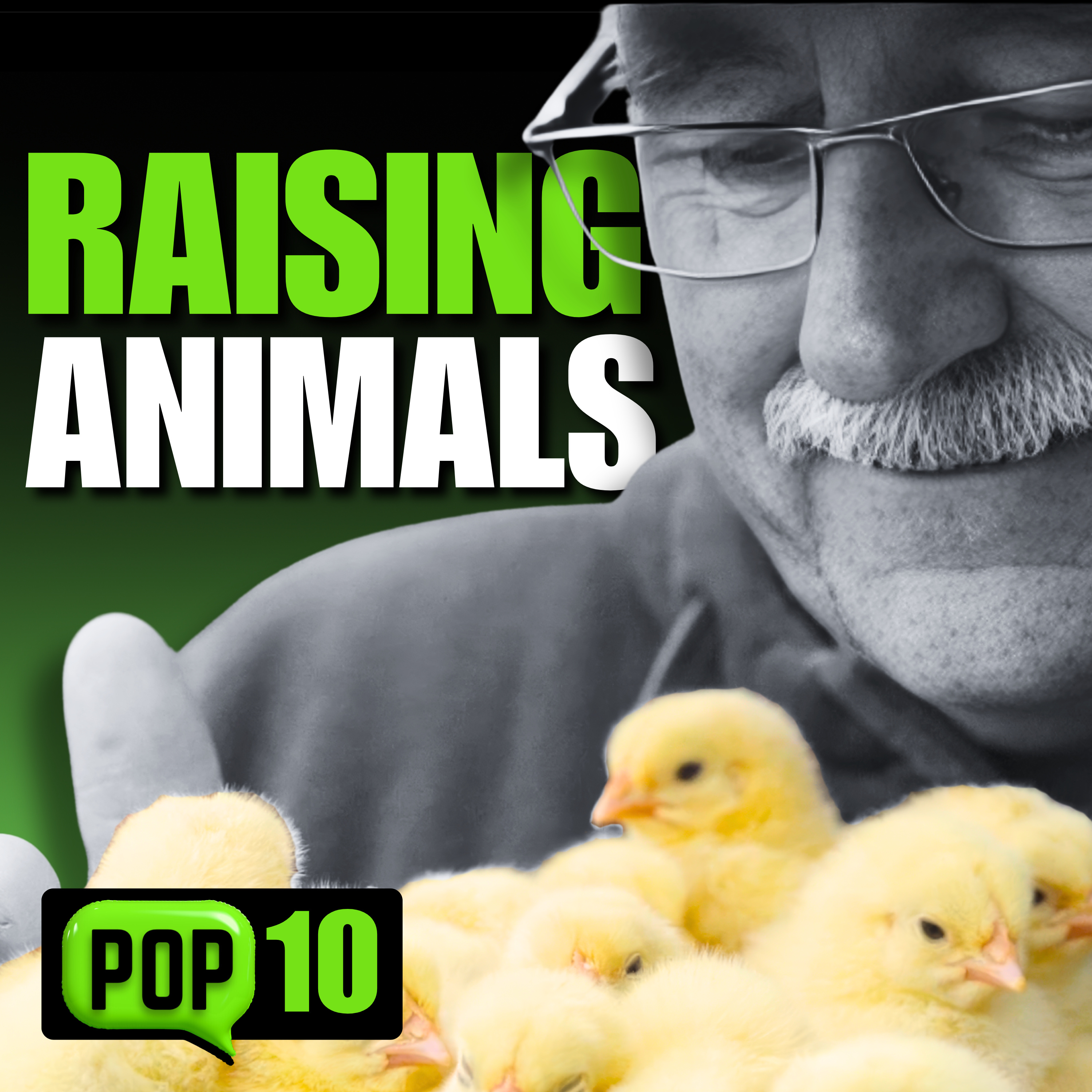 BOOST Your Harvest with These Backyard Critters - Raising Animals in The Permaculture Orchard.
