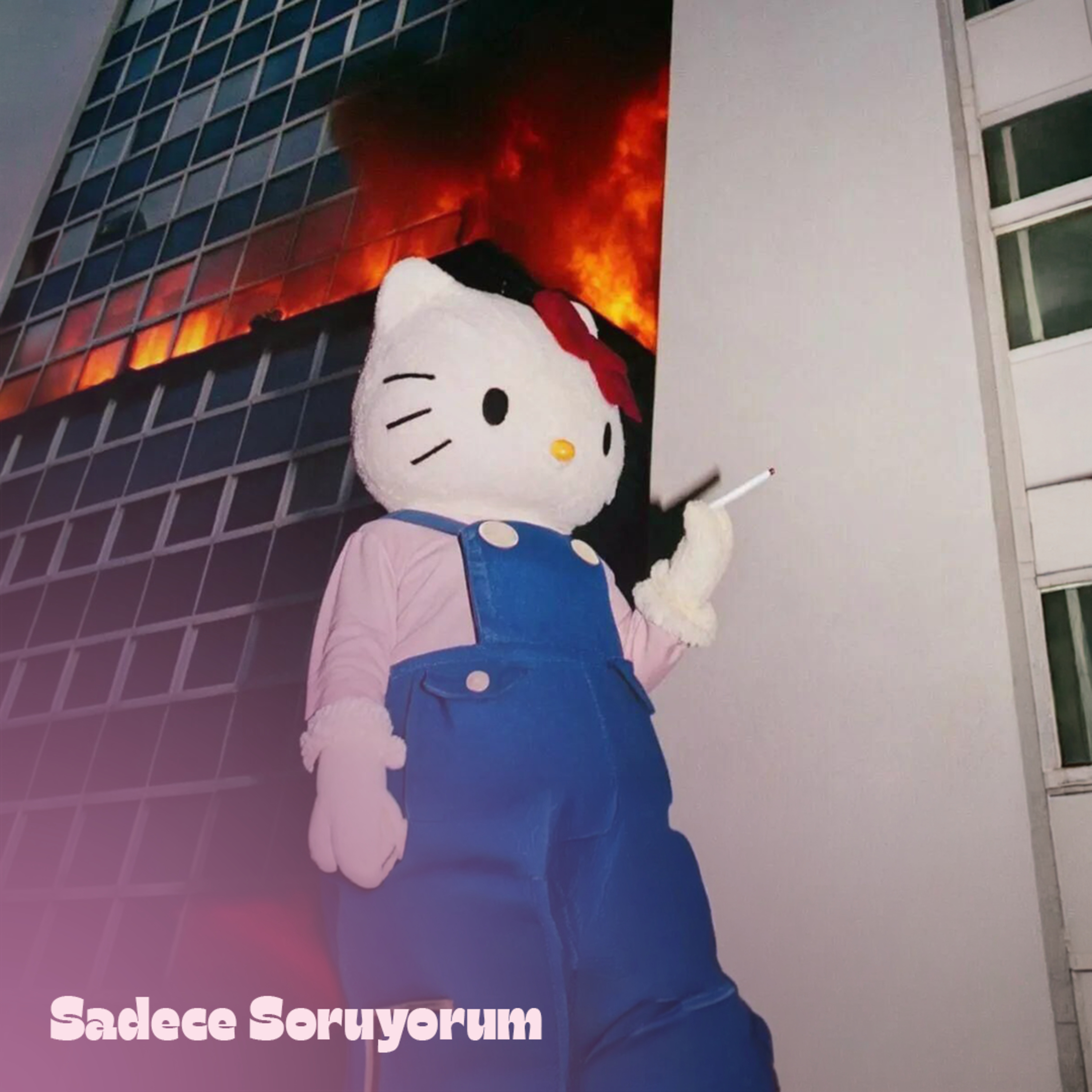 Kurumsaldan Ayrılmak Bütün Yaralarımı Sardı mı? episode artwork