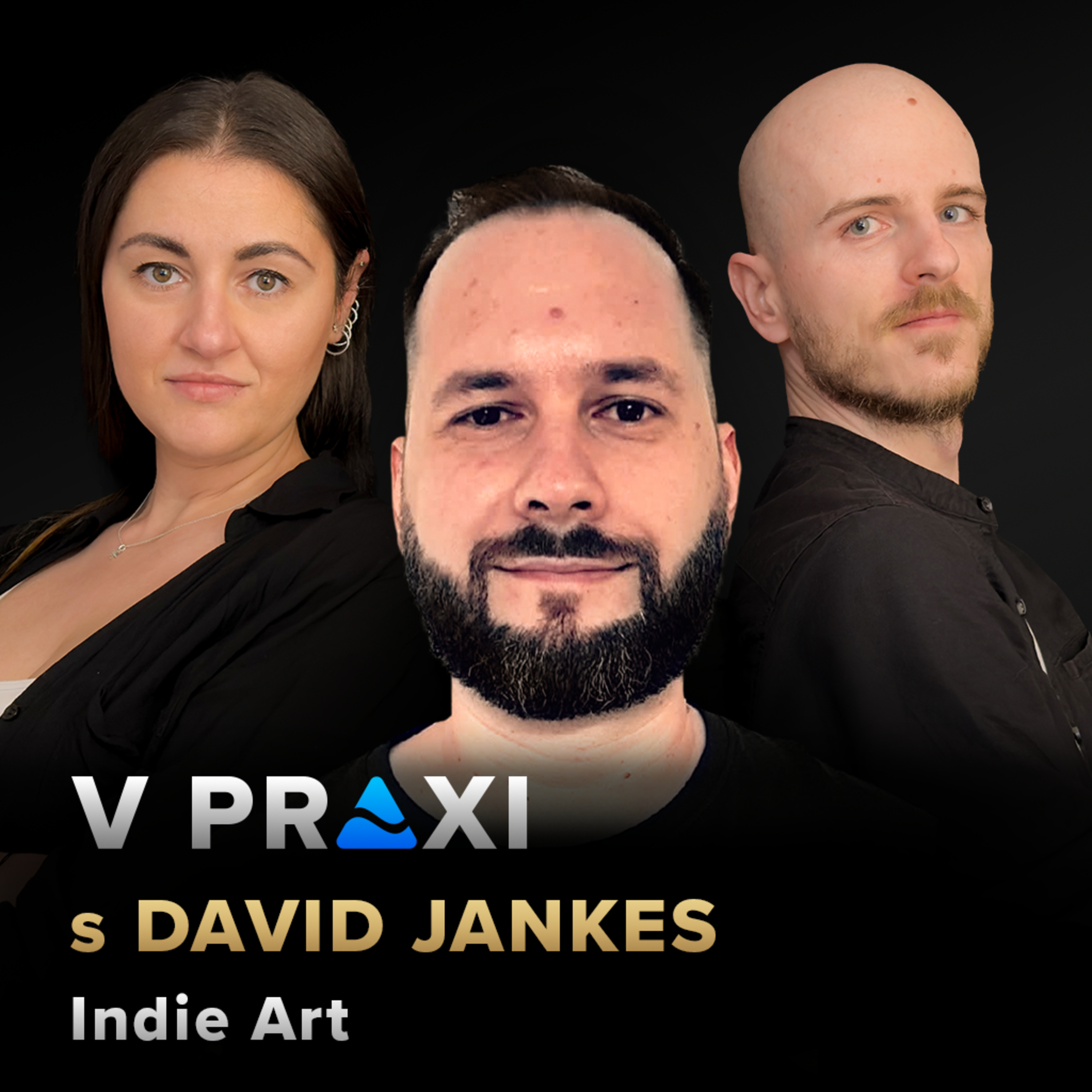 V Praxi s David Jankes - Indie Art episode artwork