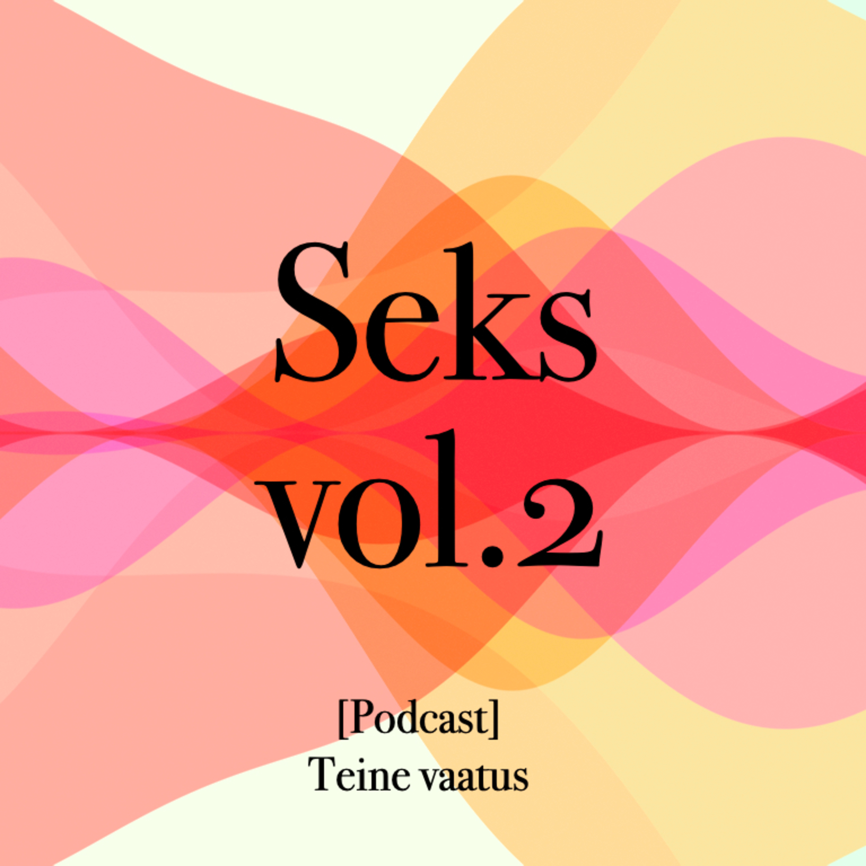 011_Seks vol. 2 episode artwork