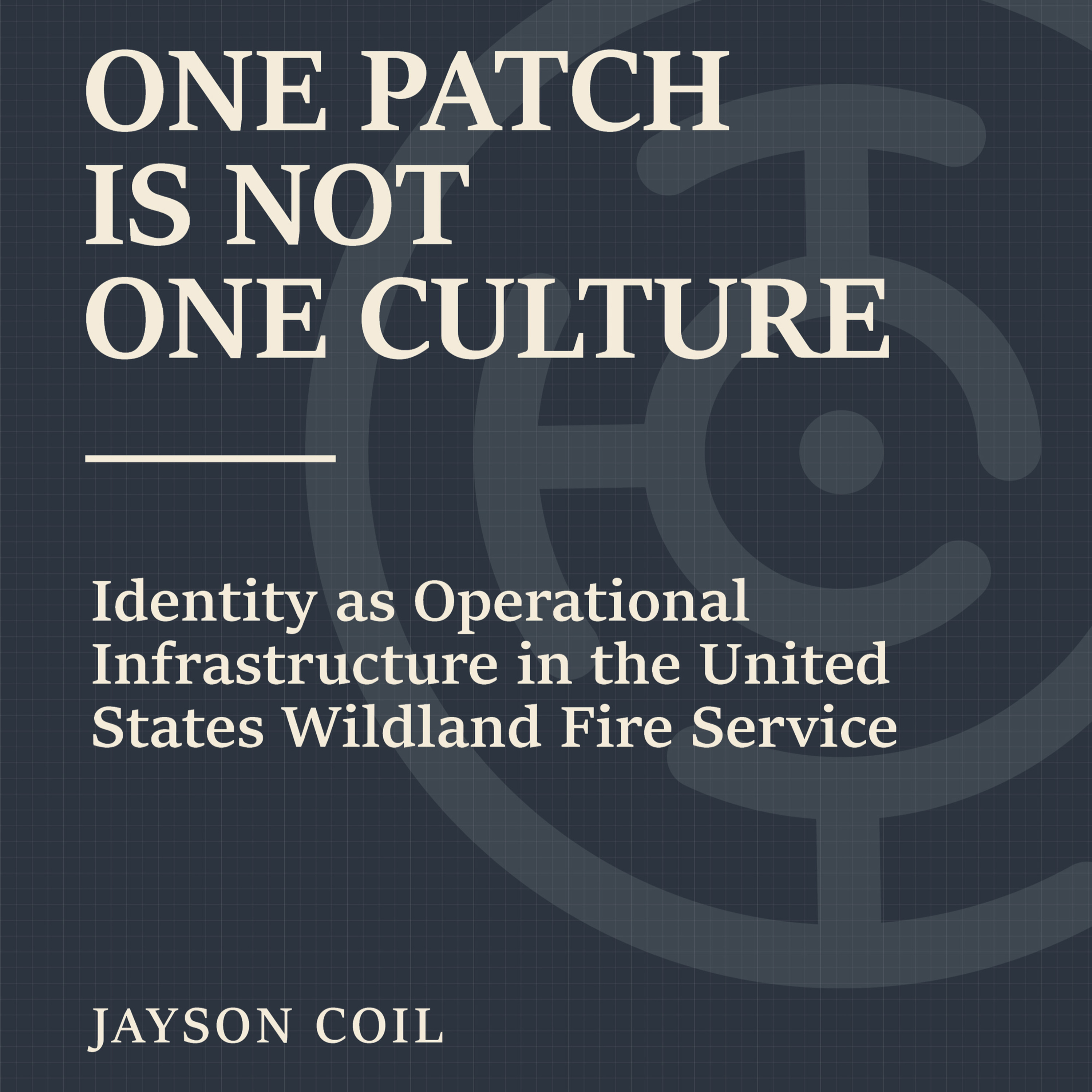 One Patch Is Not One Culture episode artwork