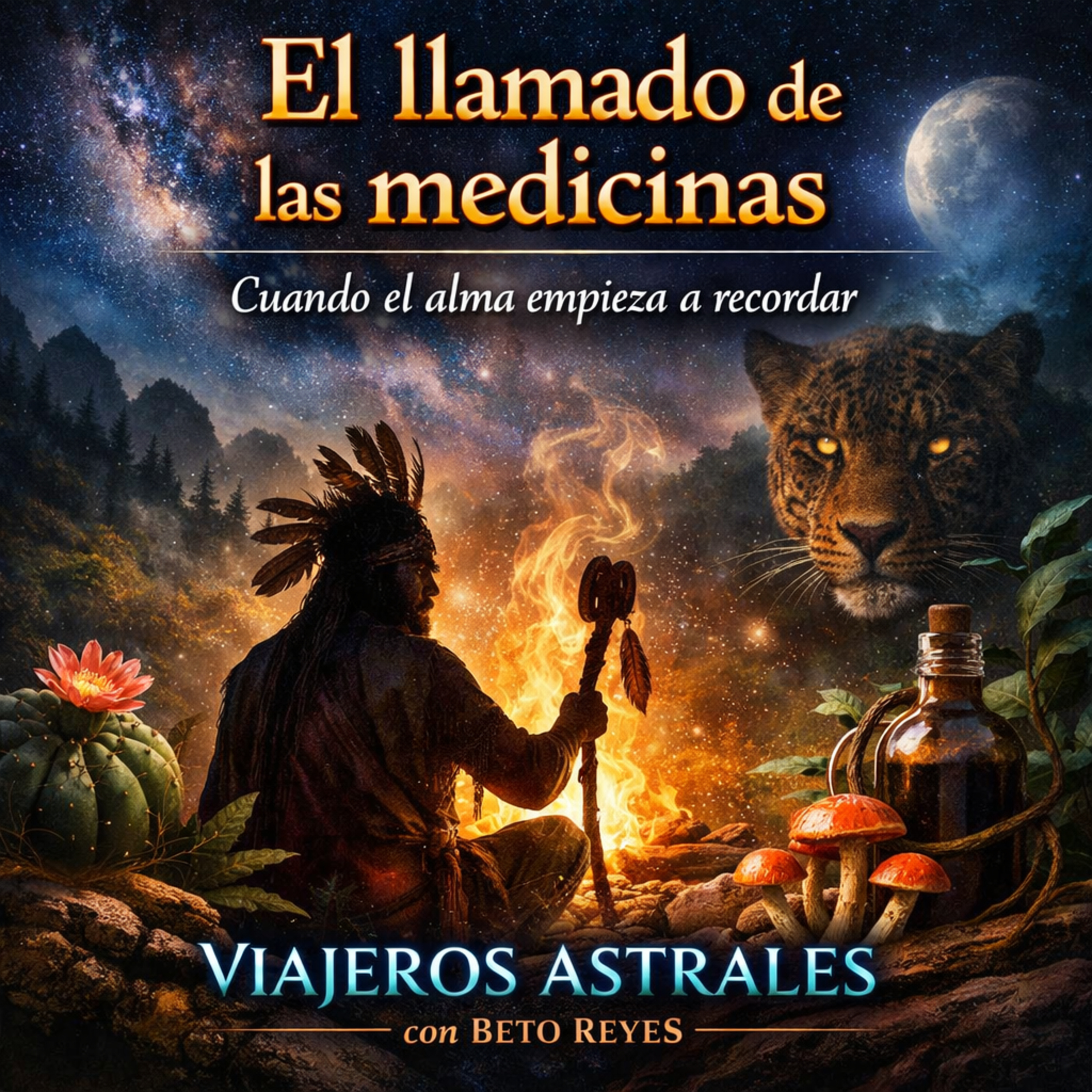 El llamado de las medicinas episode artwork