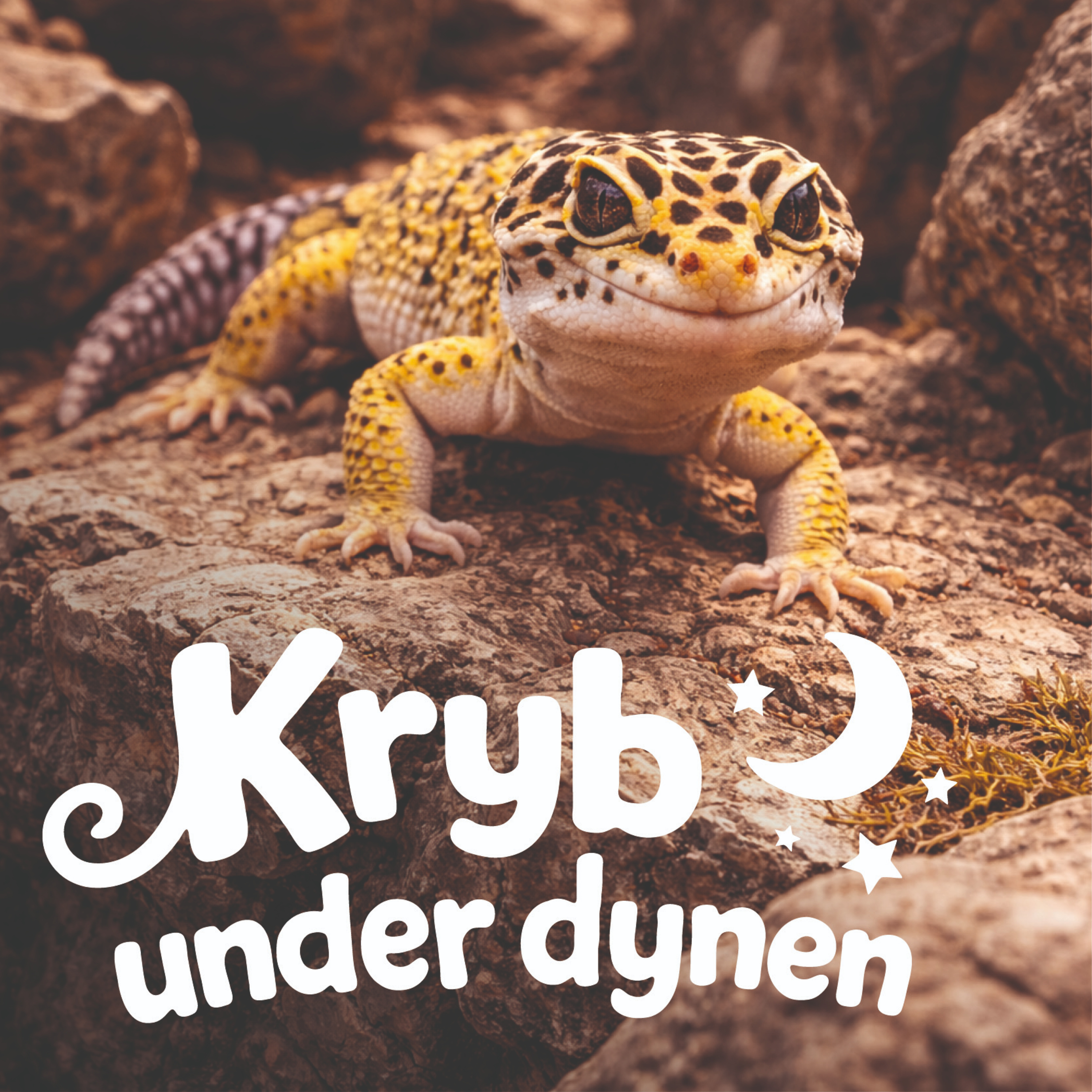 Leopardgekko