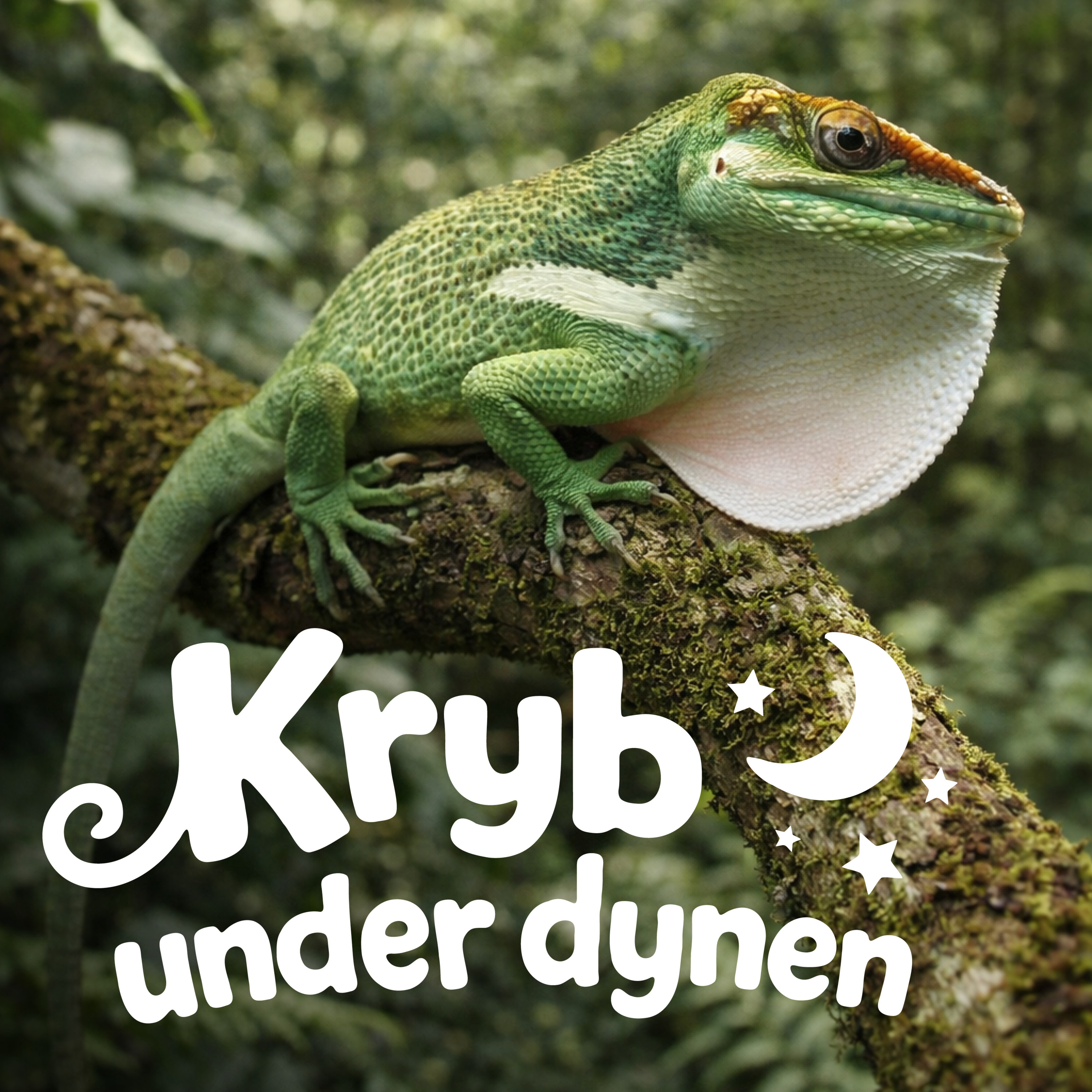 Ridderanole
