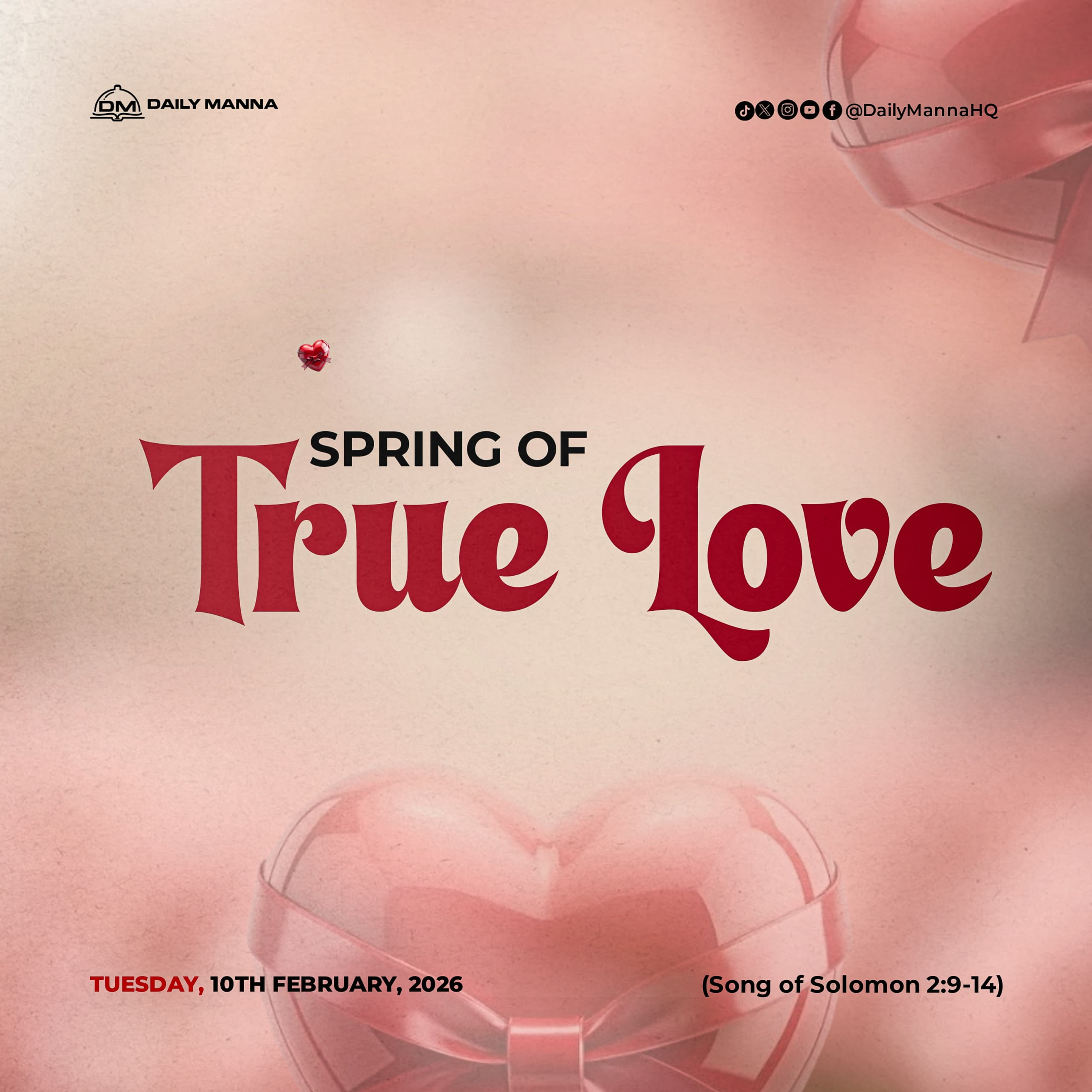 Spring of True Love episode artwork