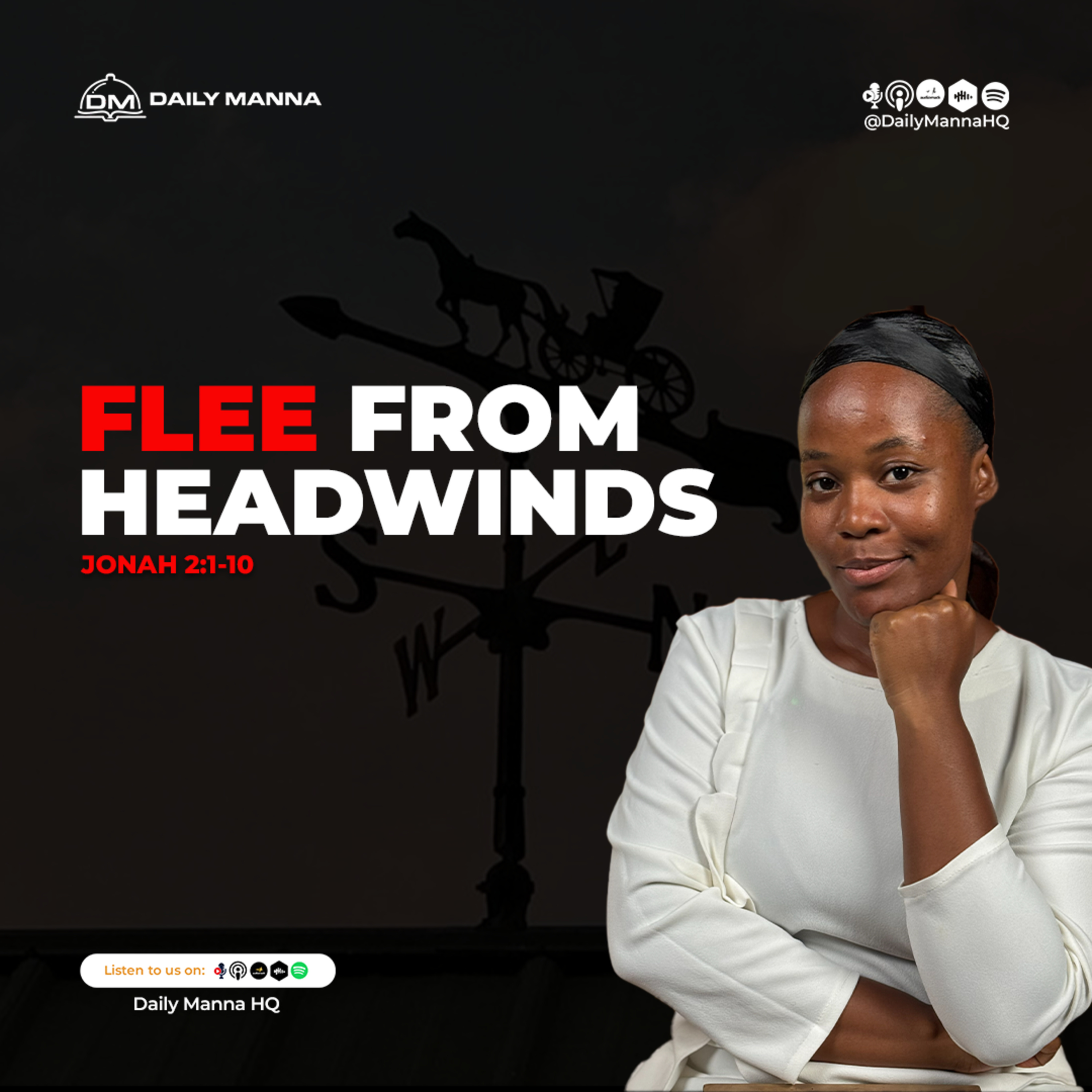 Flee From Headwinds episode artwork