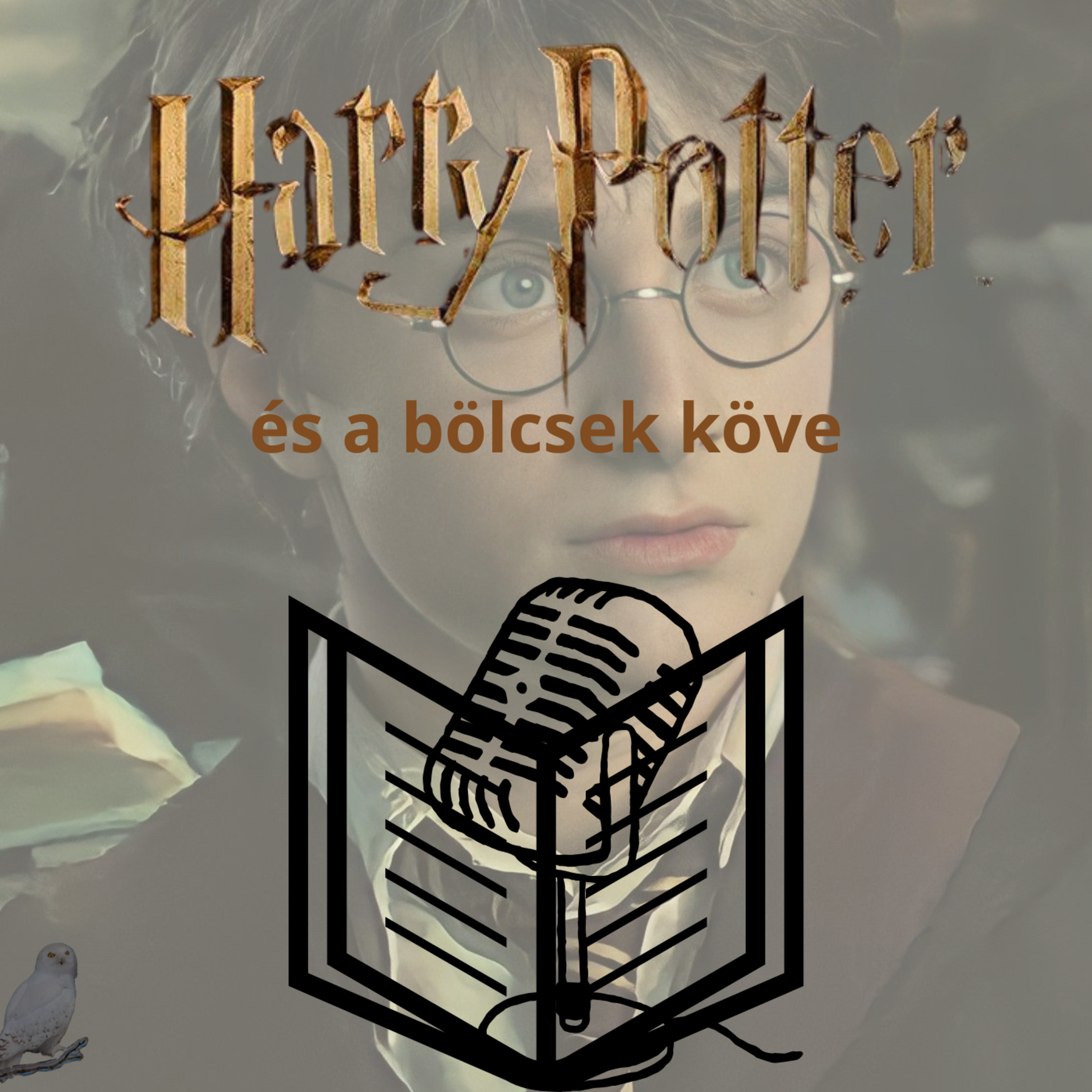 Harry Potter és a bölcsek köve #3 Team404Podcast episode artwork