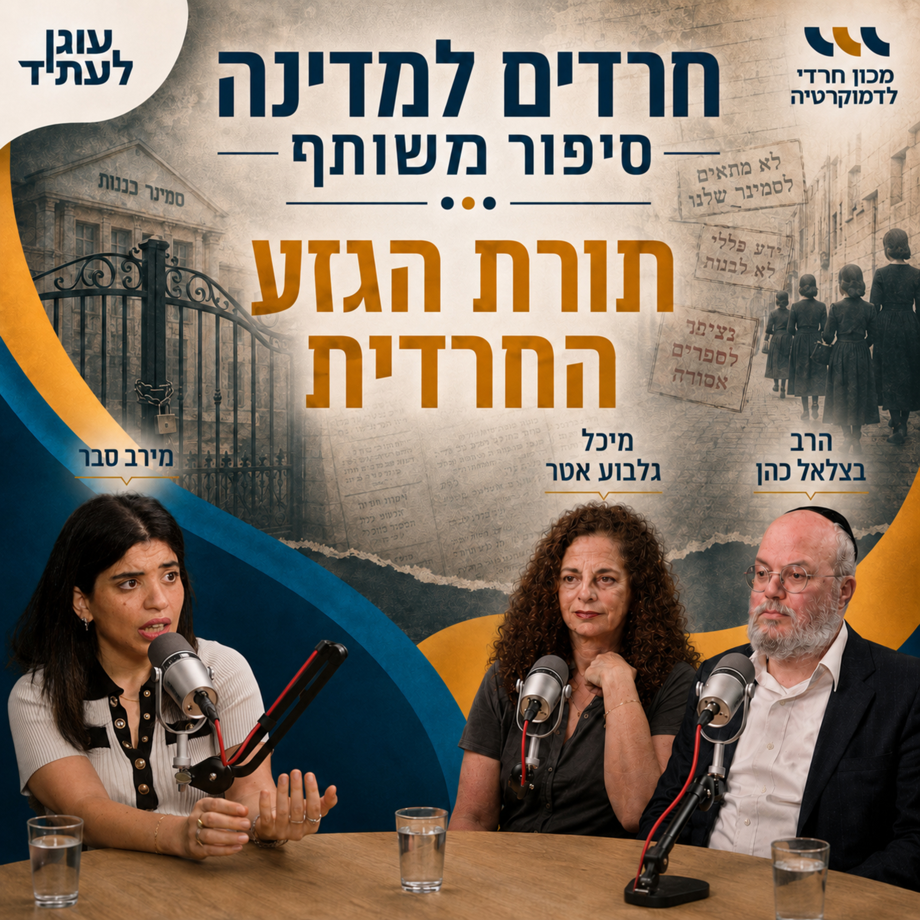 חרדים למדינה | תורת הגזע החרדית, עם מירב סבר episode artwork