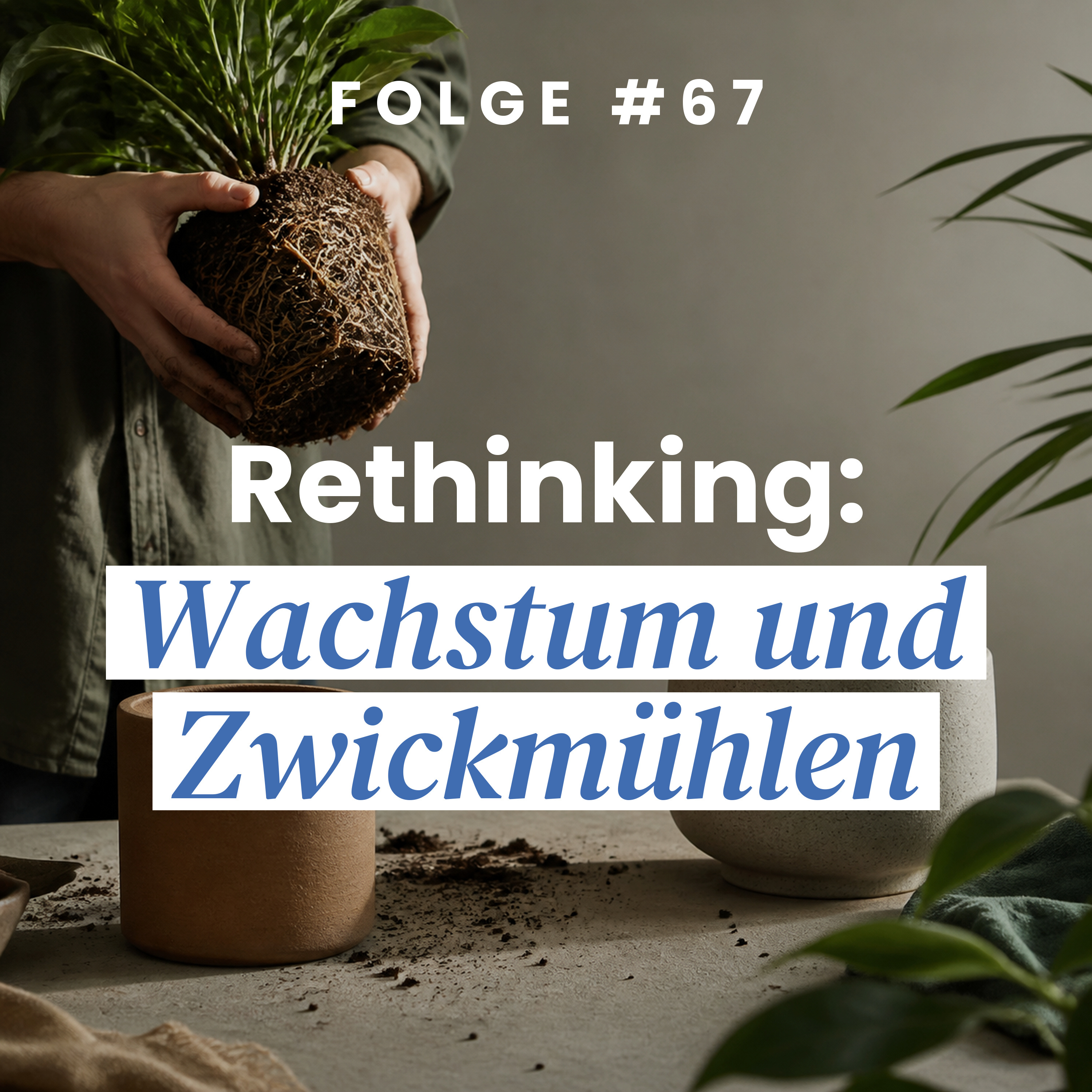 Rethinking: Wachstum und Zwickmühlen episode artwork
