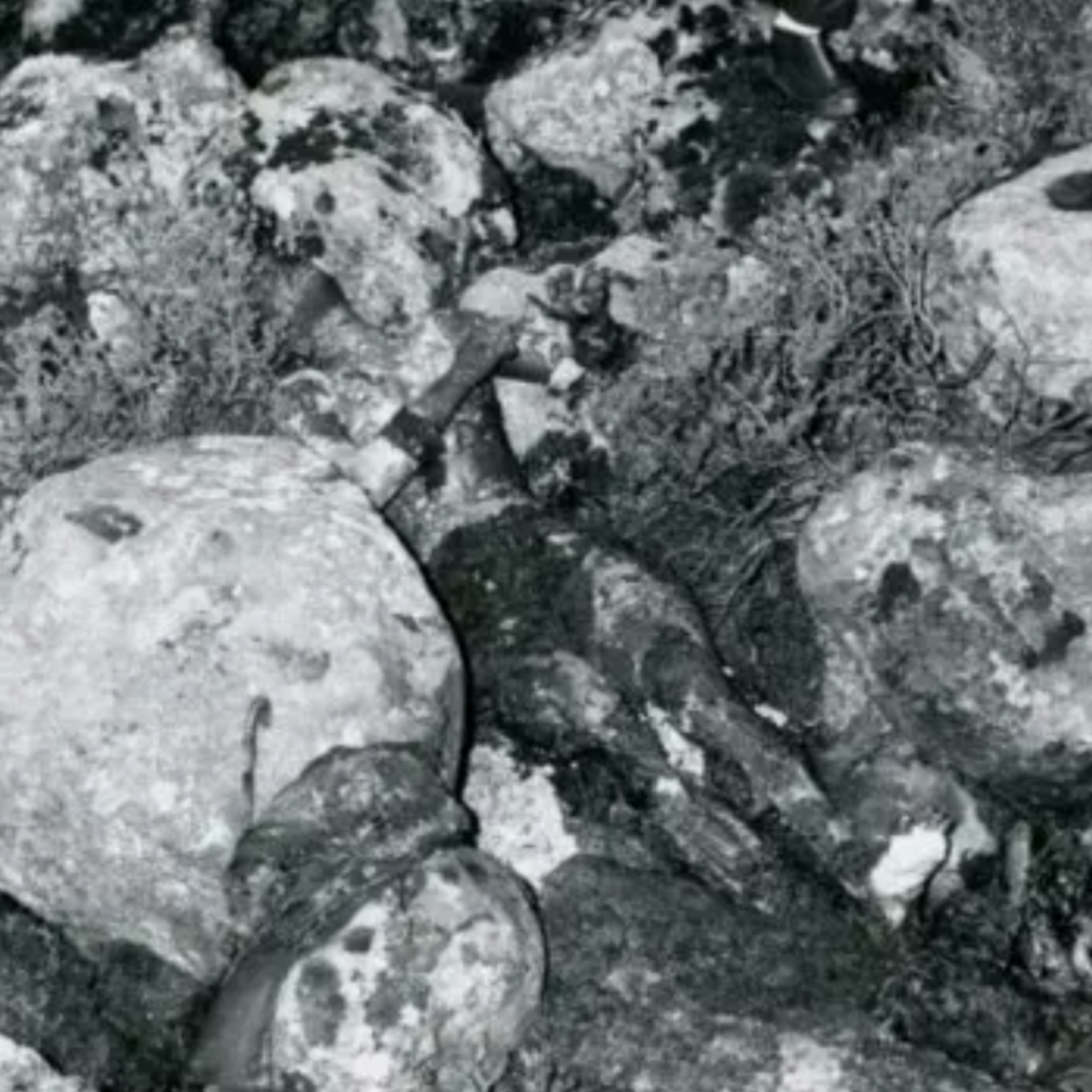 La Morte sans nom : L&rsquo;Isdal Woman [MYSTERE] Chroniques d&rsquo;une image