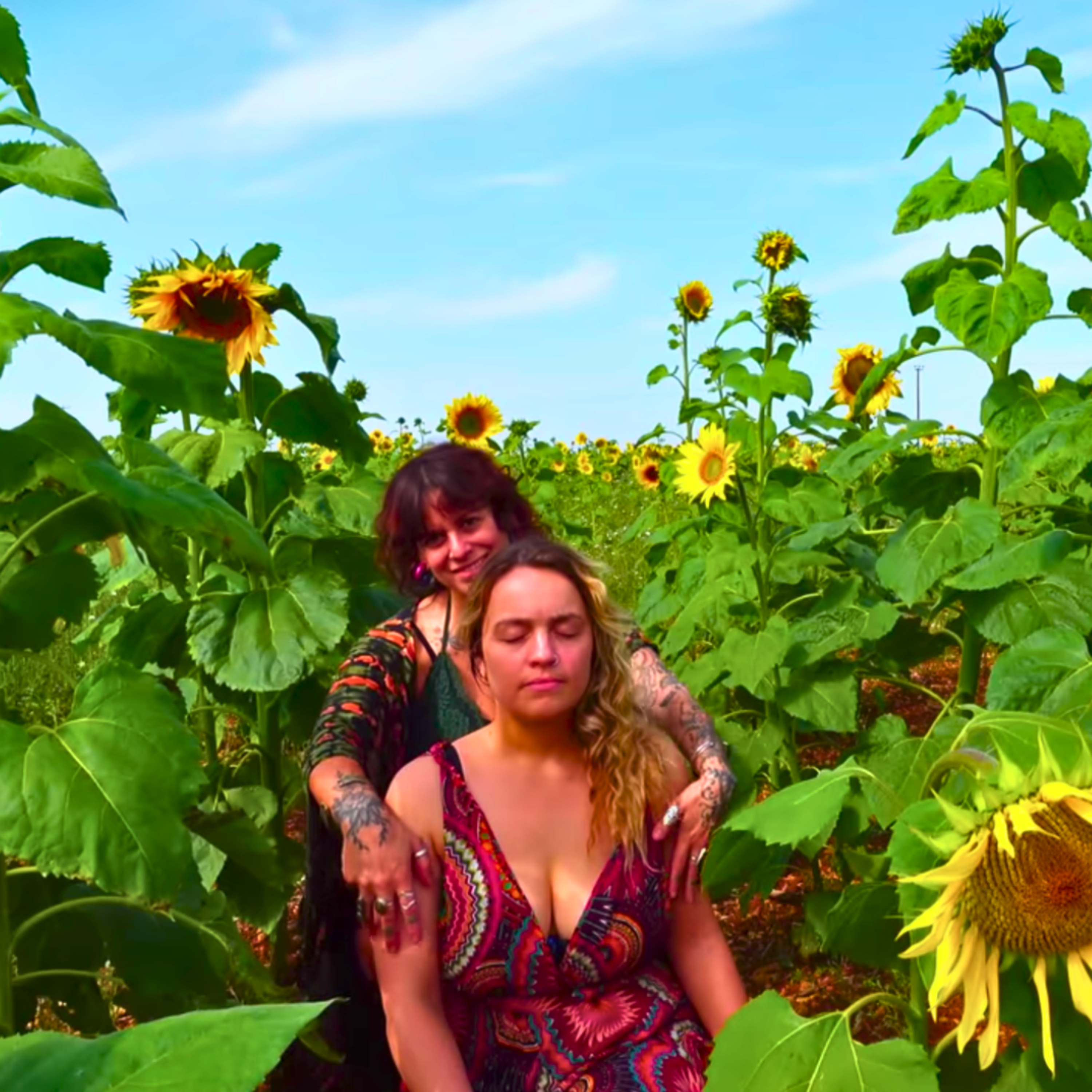Real person ASMR in a sunflower field episode artwork