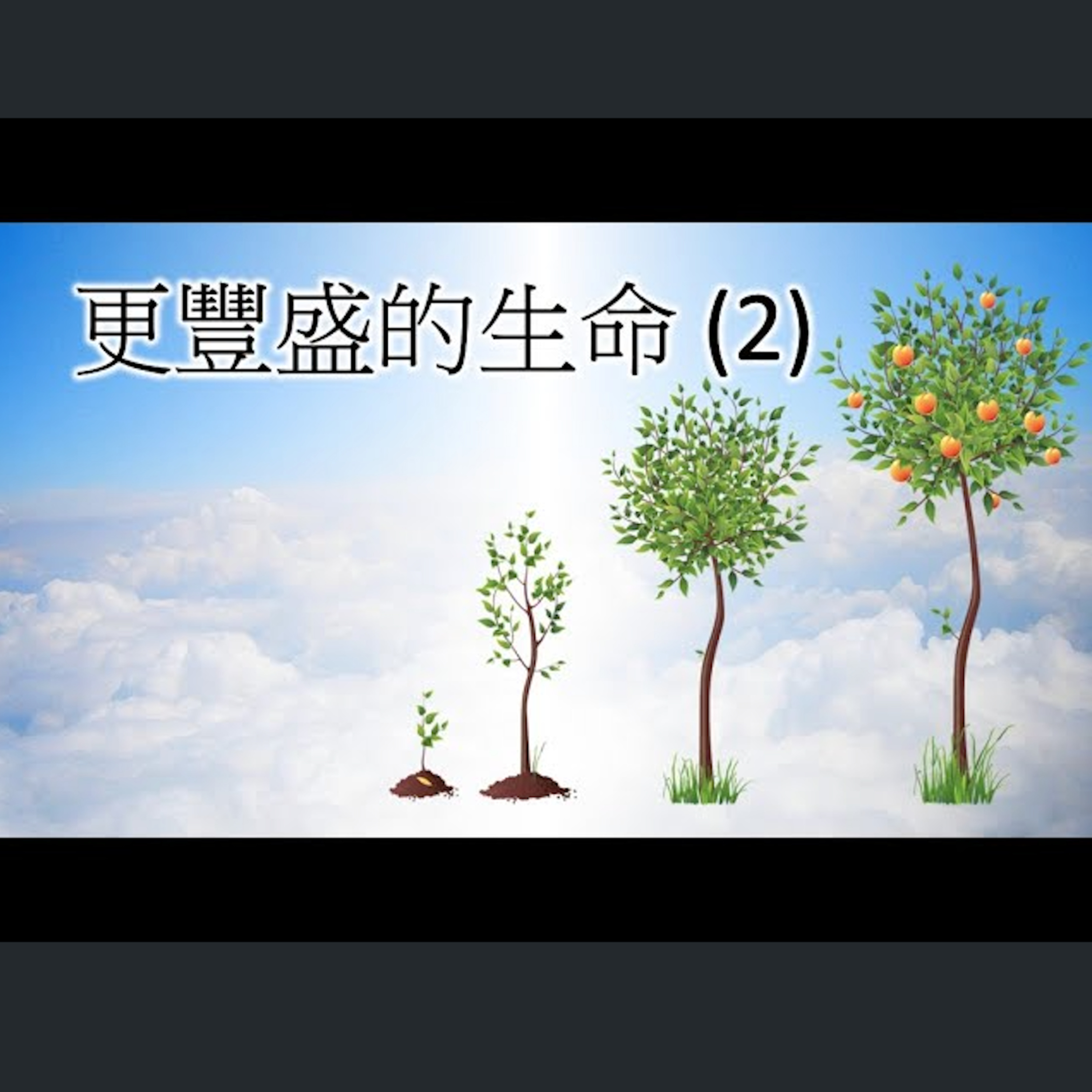 [伯明翰信息] 更豐盛的生命2 episode artwork