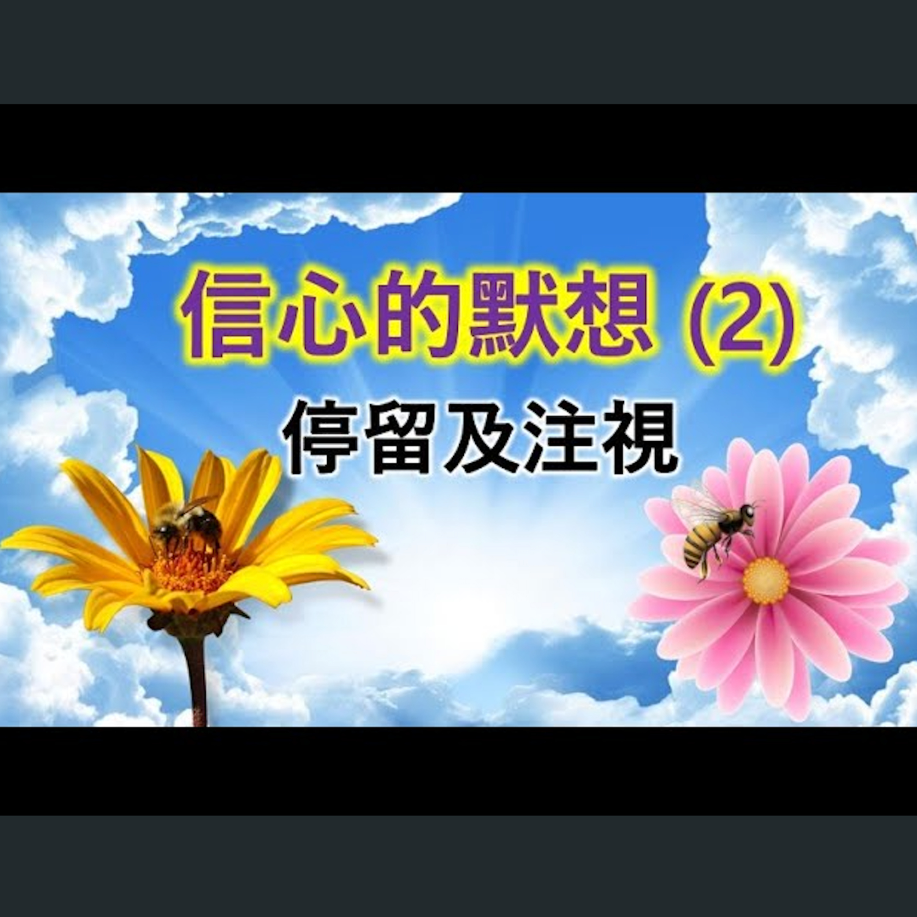 [伯明翰信息] 信心的默想 (2) episode artwork
