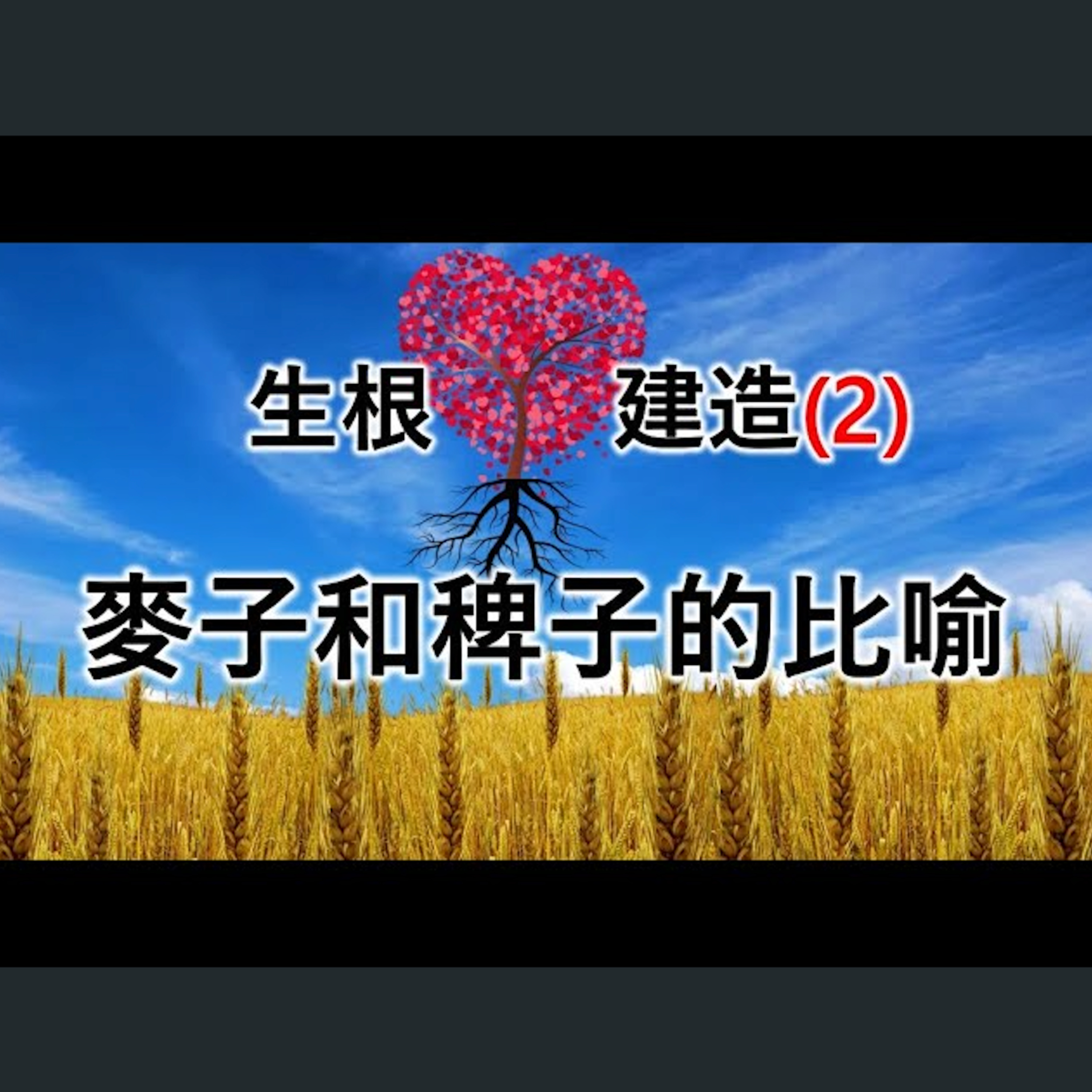 [伯明翰信息] 生根建造(2) - 麥子和稗子的比喻 episode artwork