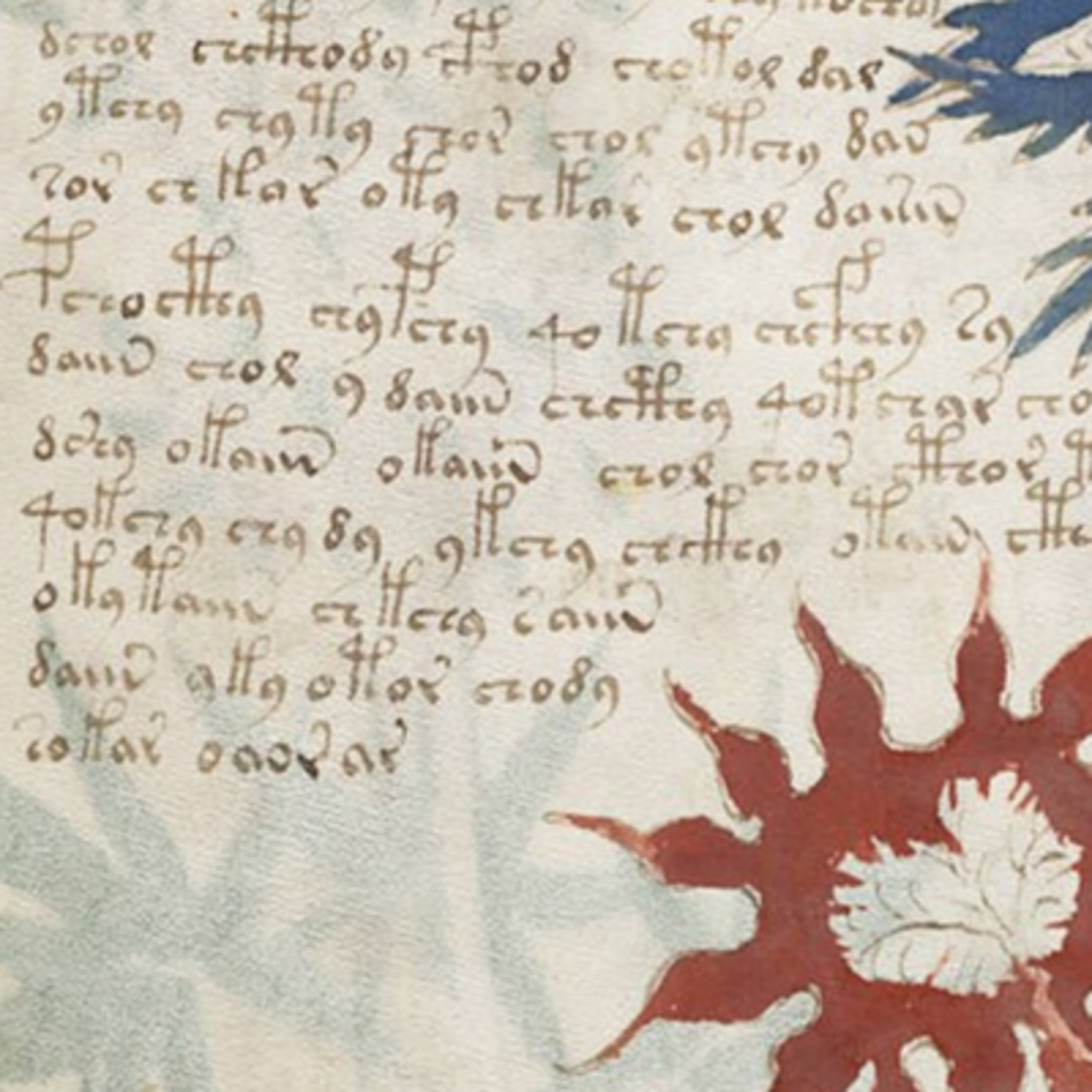 Het Voynich-manuscript, versleuteld schrift of hokus pokus episode artwork