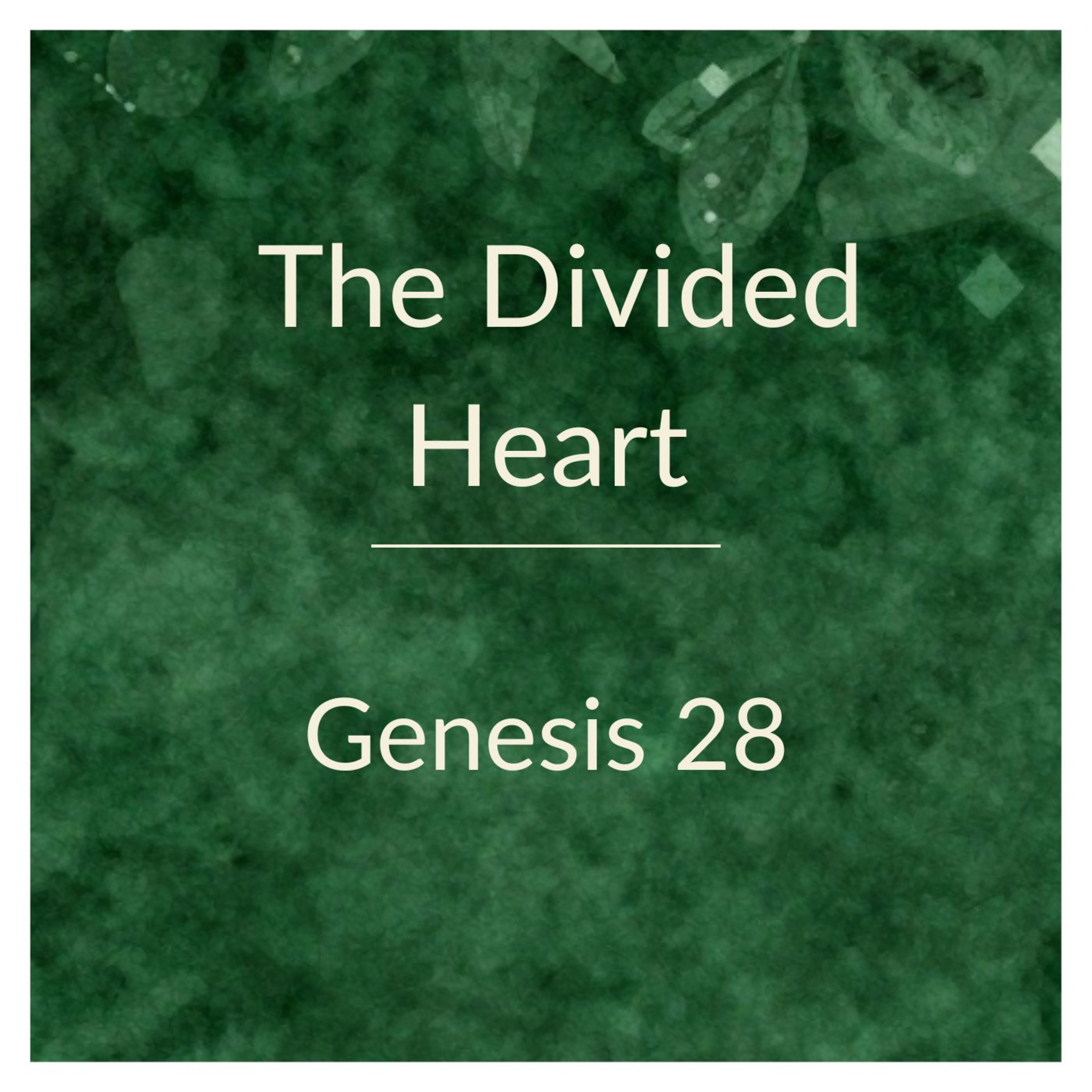 The Divided Heart episode artwork