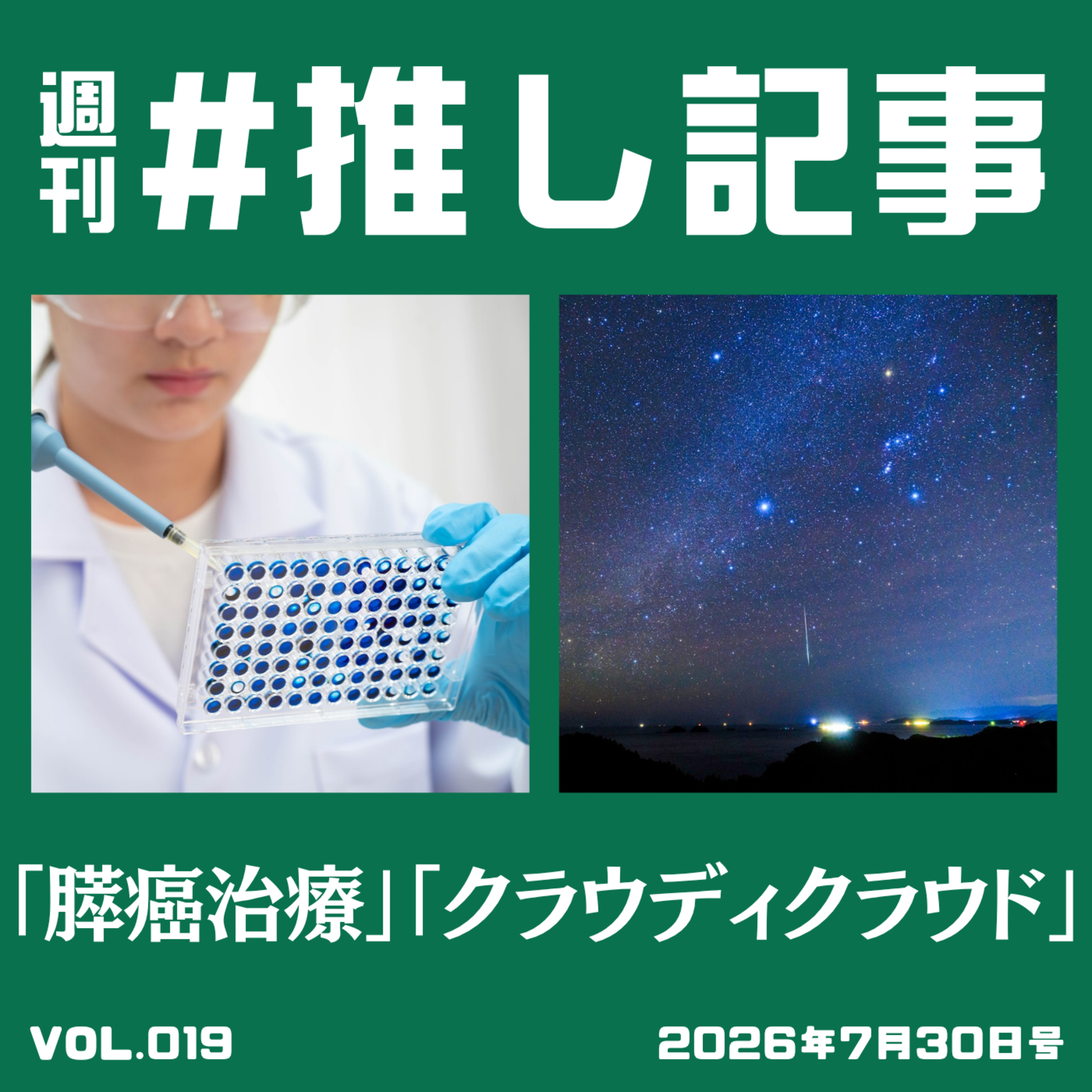 プロ中のプロ episode artwork