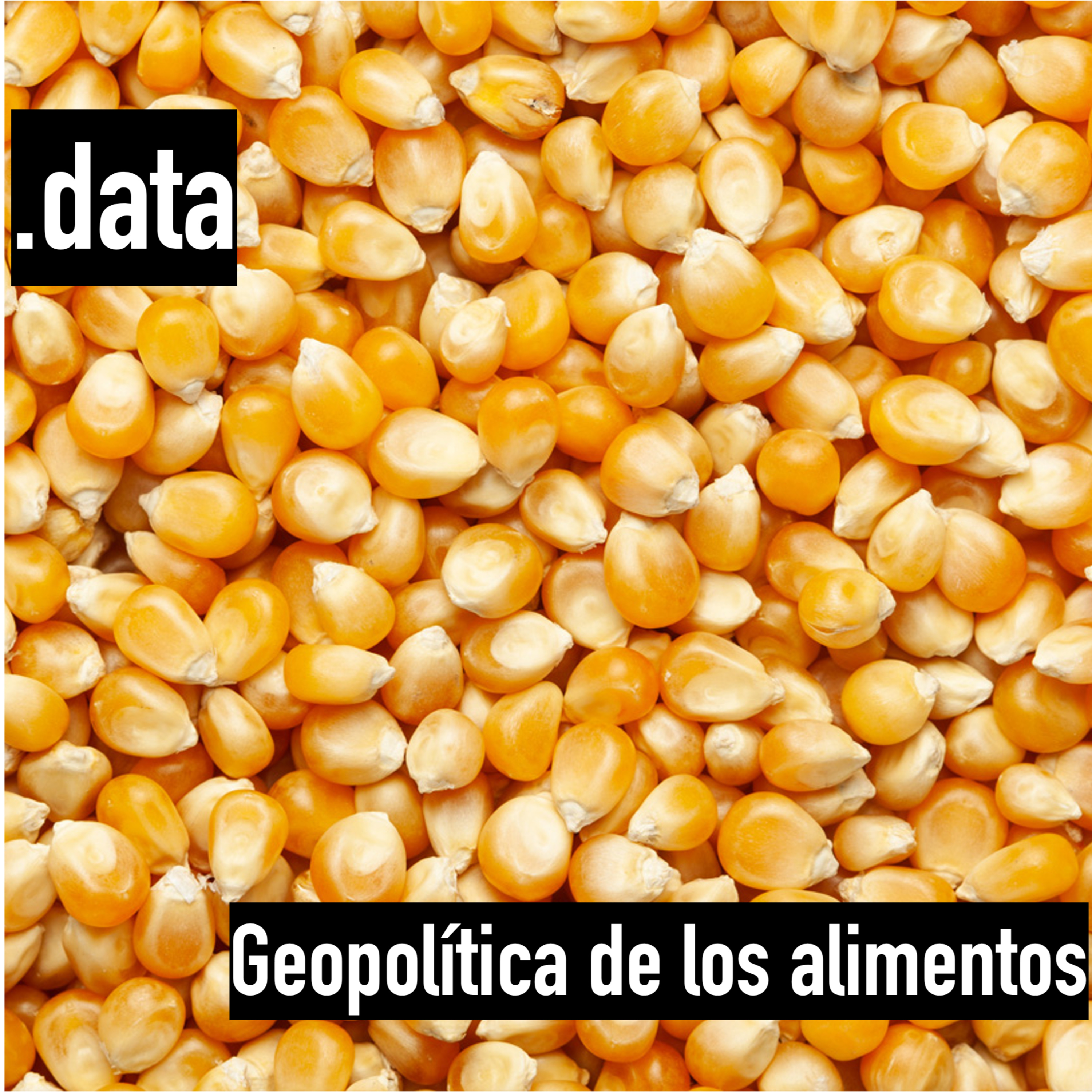Portada de Punto.data: el mundo hoy