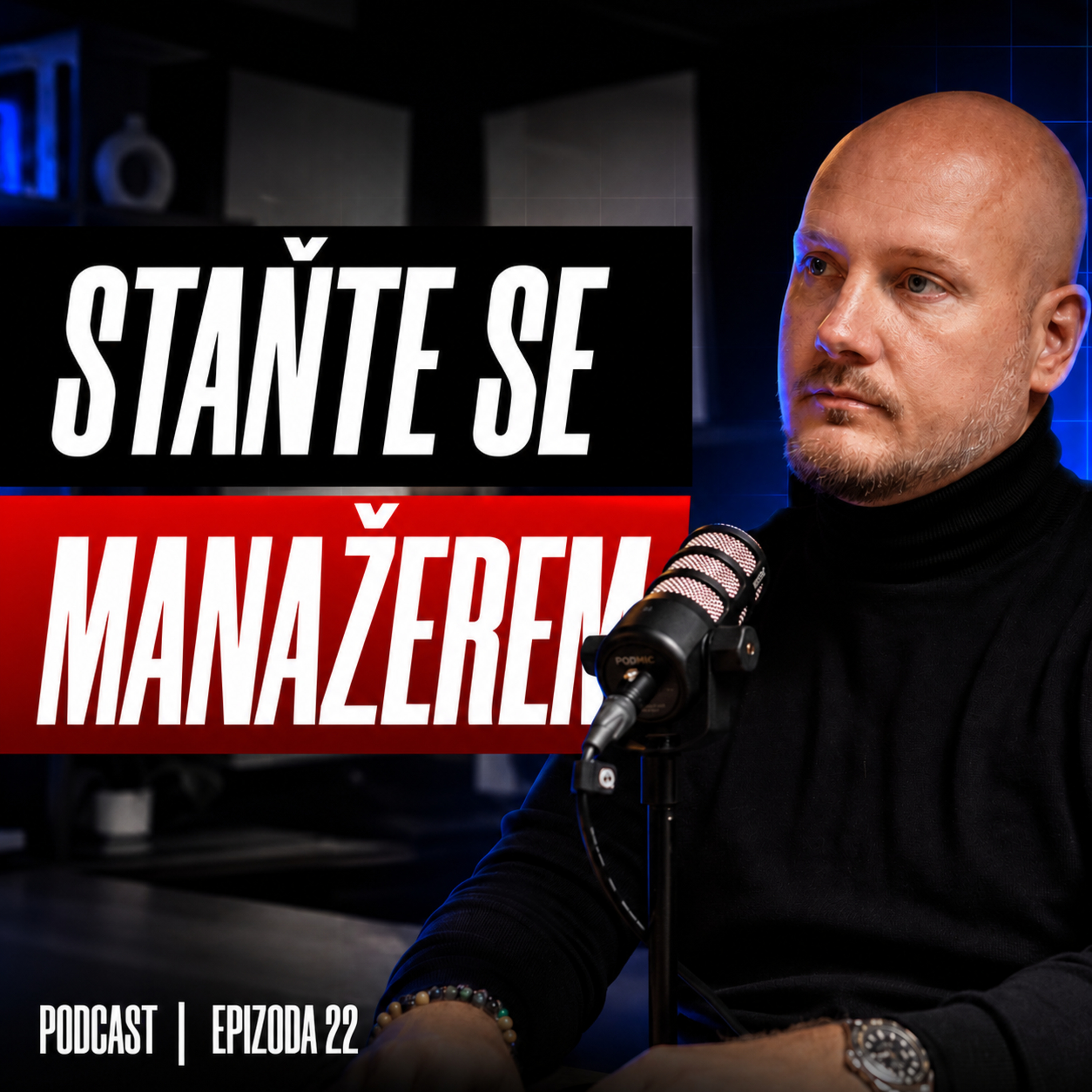 Role manažera: Jak vést lidi a vybudovat tým / Realitní kariéra s Tomášem Šimkem episode artwork