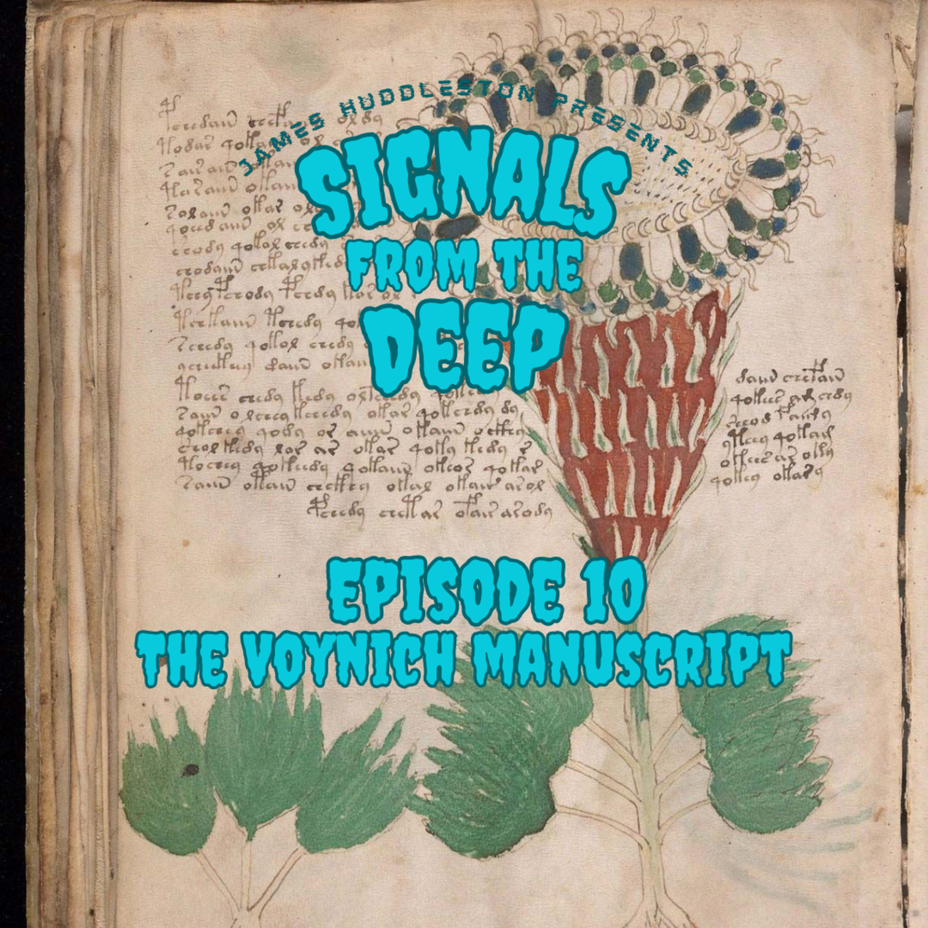 Episode 10: The Voynich Manuscript episode artwork