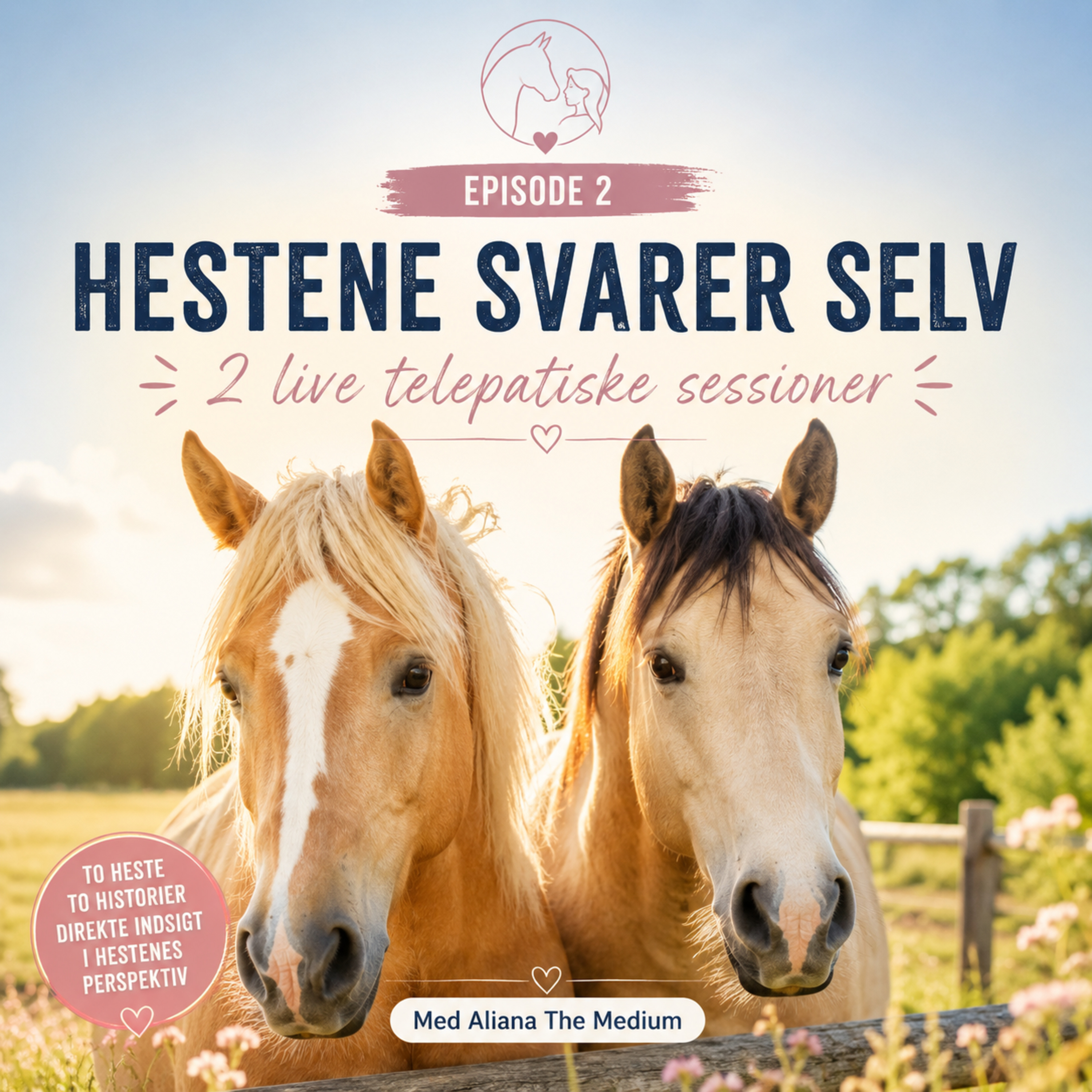 Hestene svarer selv - Samtale med Aliana The Medium, del 2.