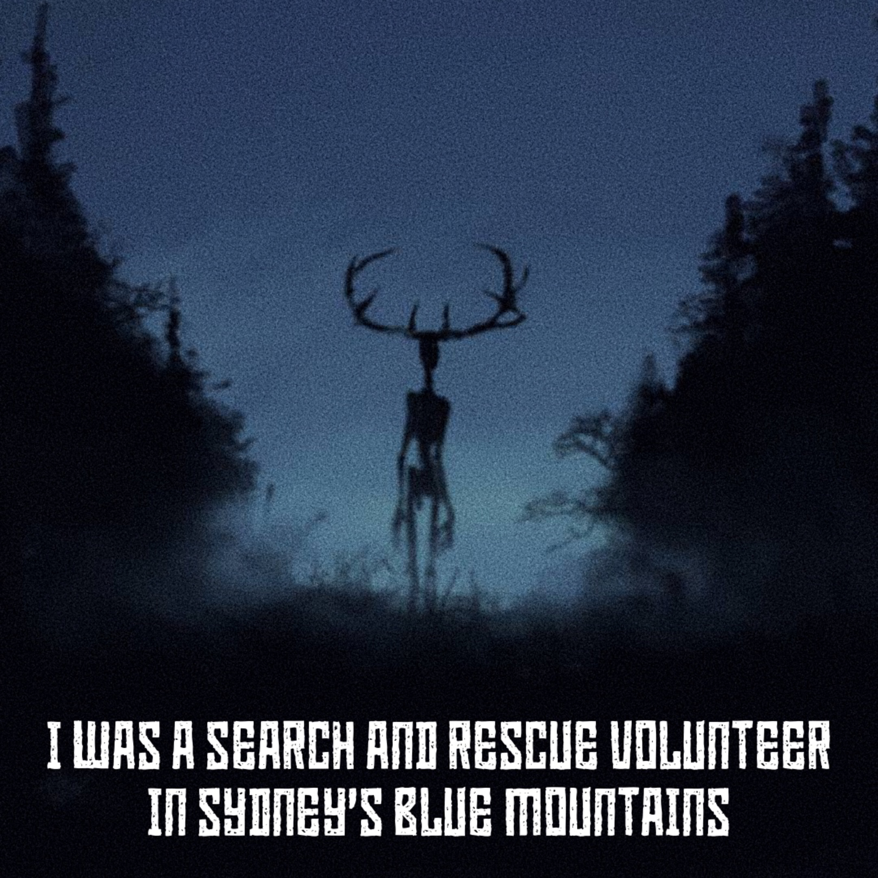 I Was a Search and Rescue Volunteer in Sydney's Blue Mountains episode artwork