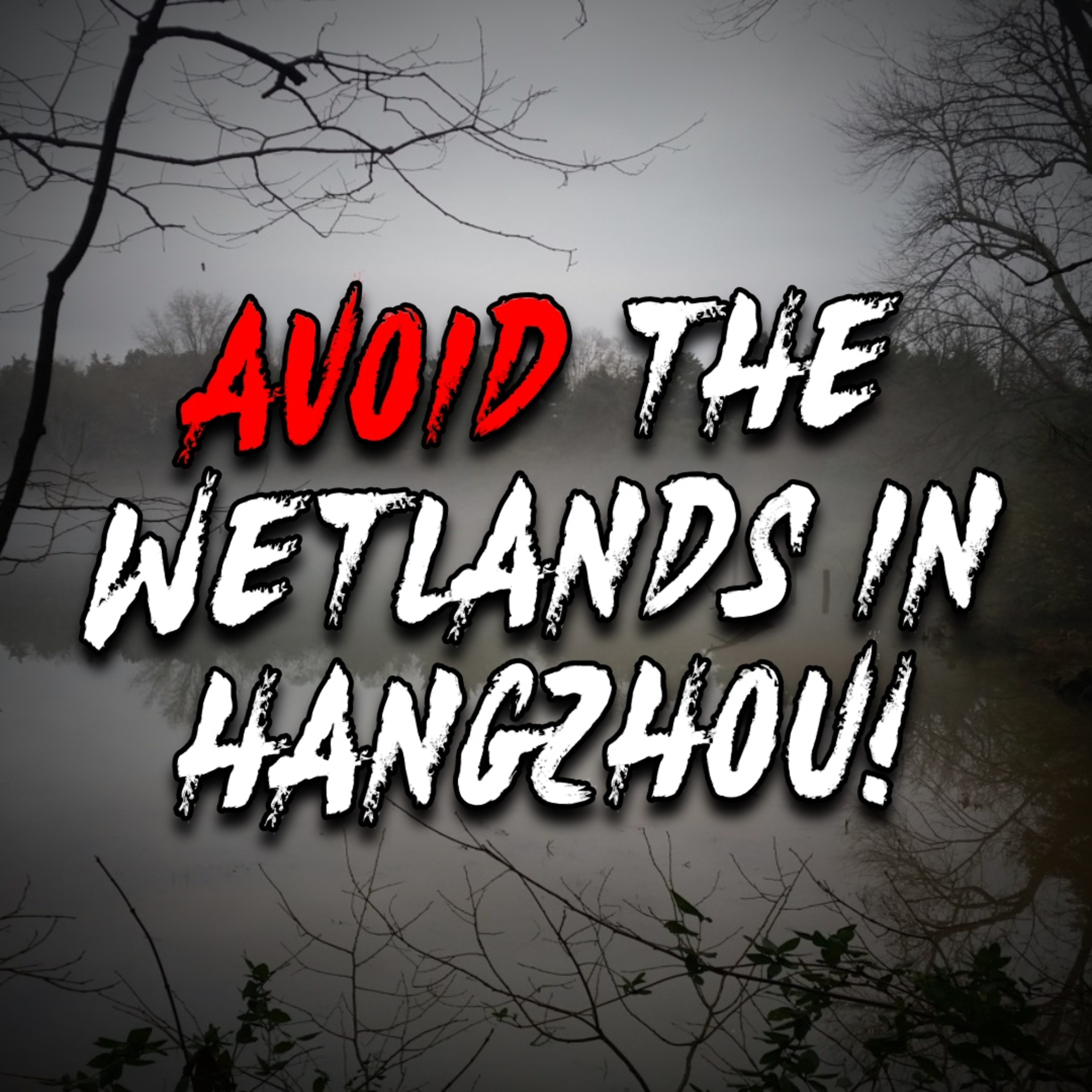 Avoid the Wetlands in Hangzhou episode artwork