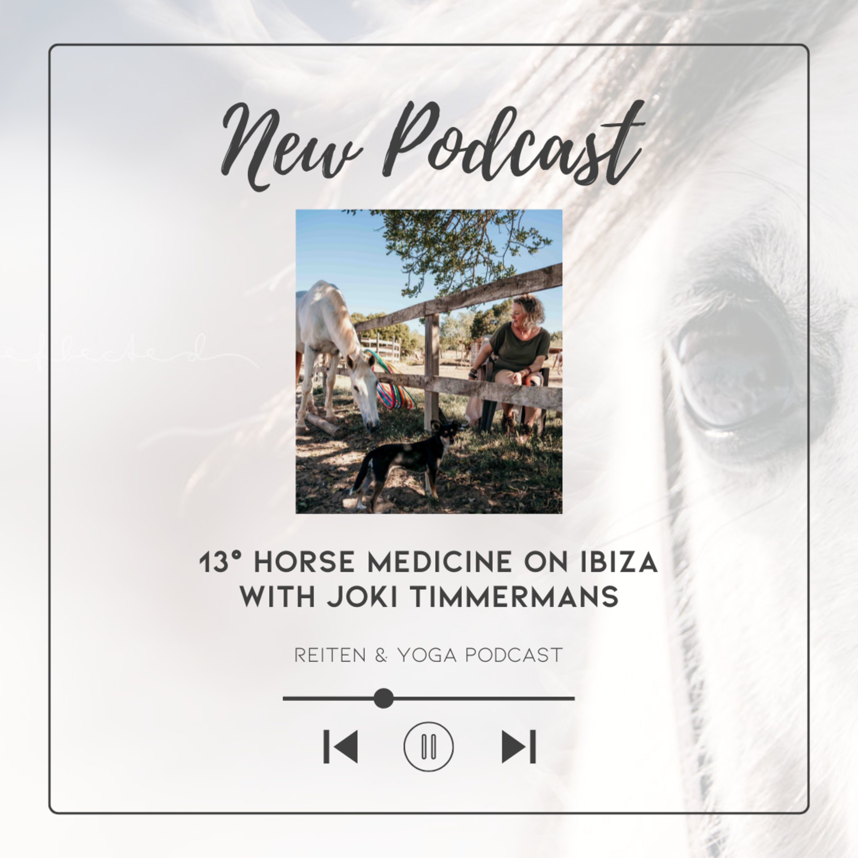 13° Horse Medicine on Ibiza with Joki Timmermans episode artwork