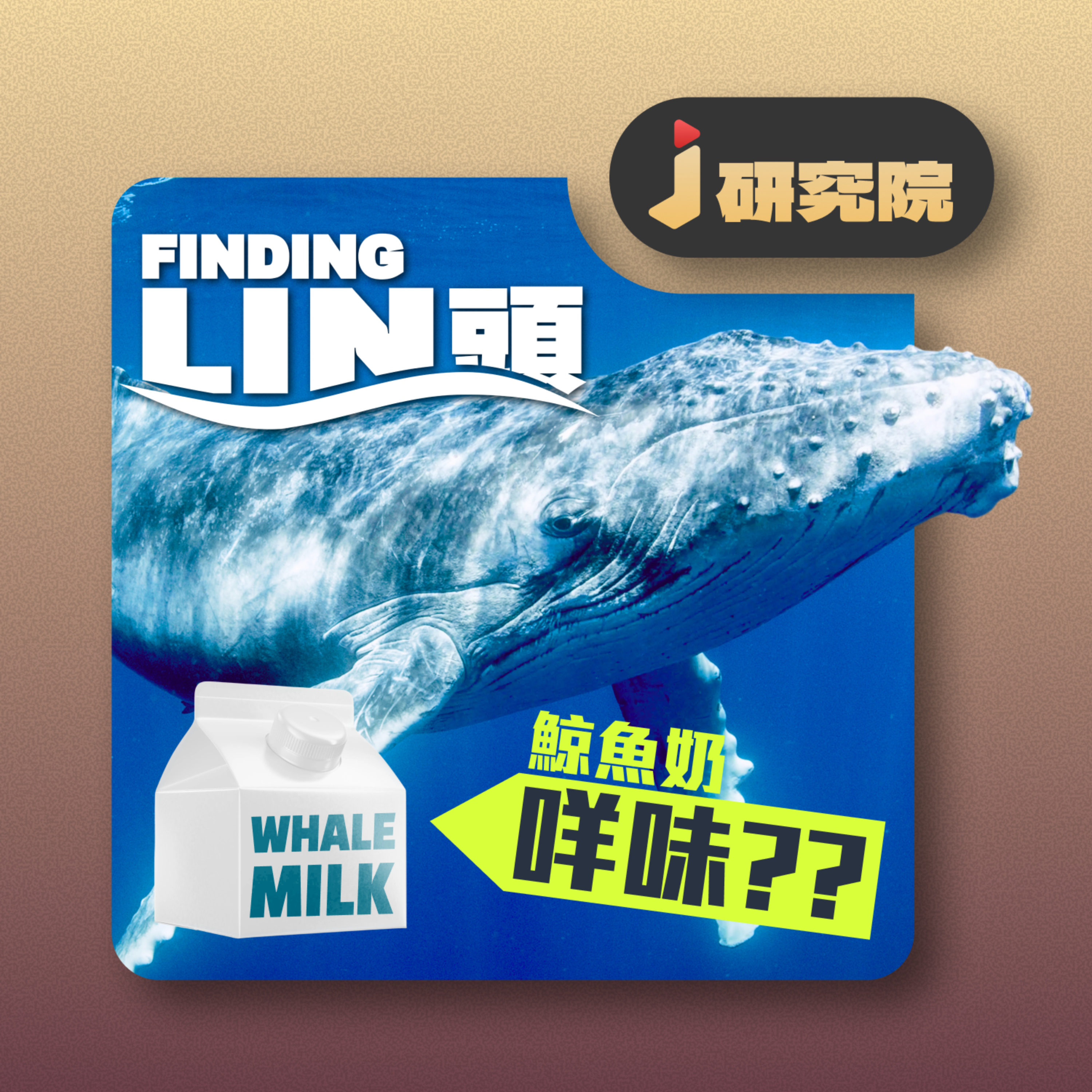 🐳 鯨魚有奶？ episode artwork