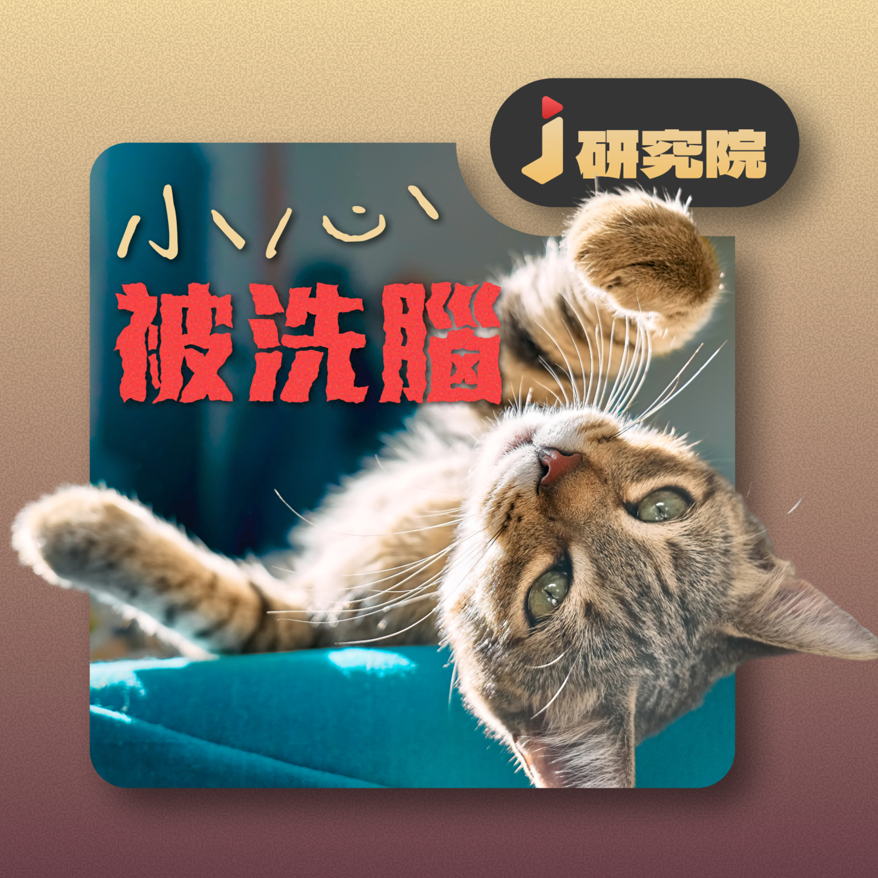 🐱寄生蟲控制人類愛上貓 episode artwork