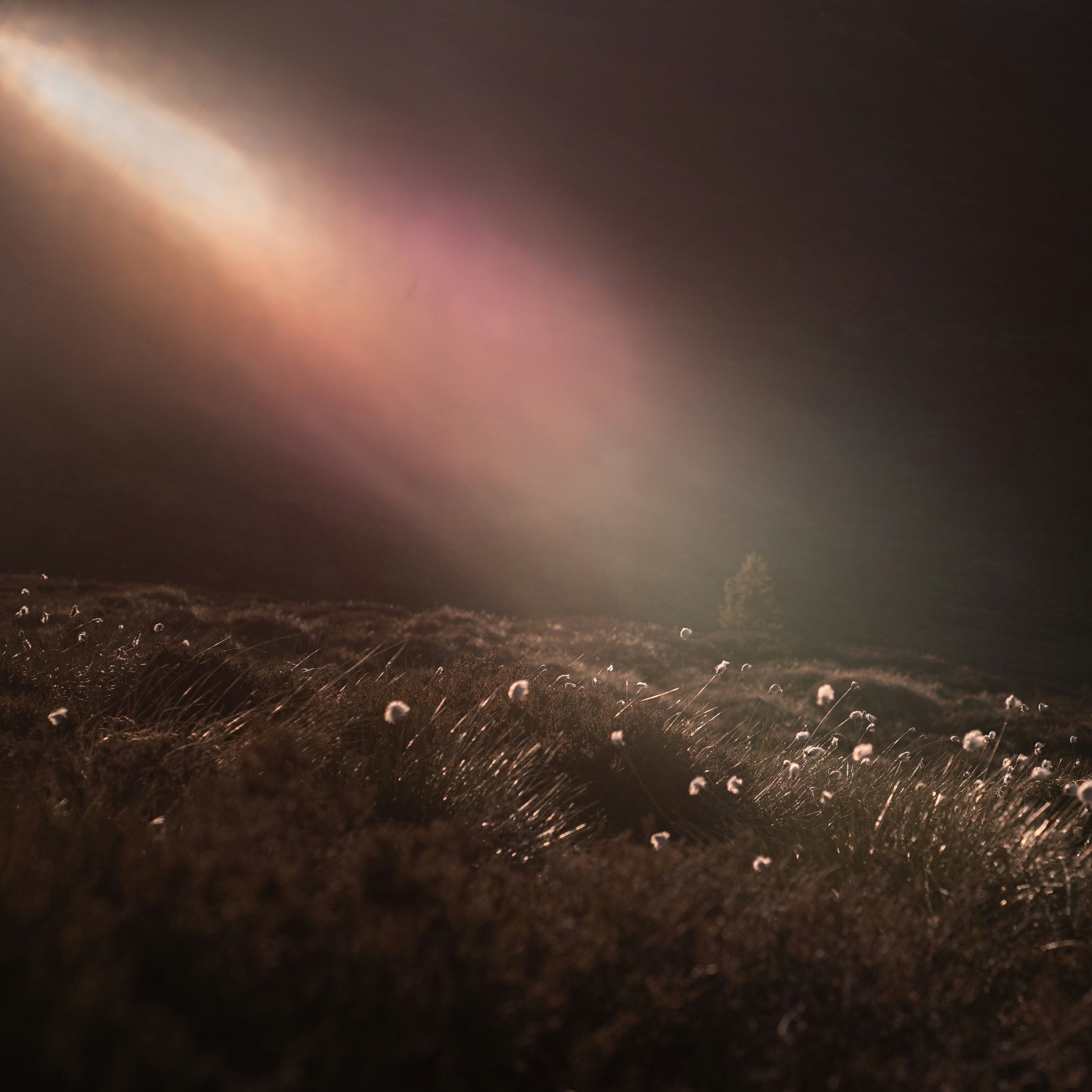 Praying To The God Who Hears Your Groaning - Psalm 5 (Nick Jones) episode artwork