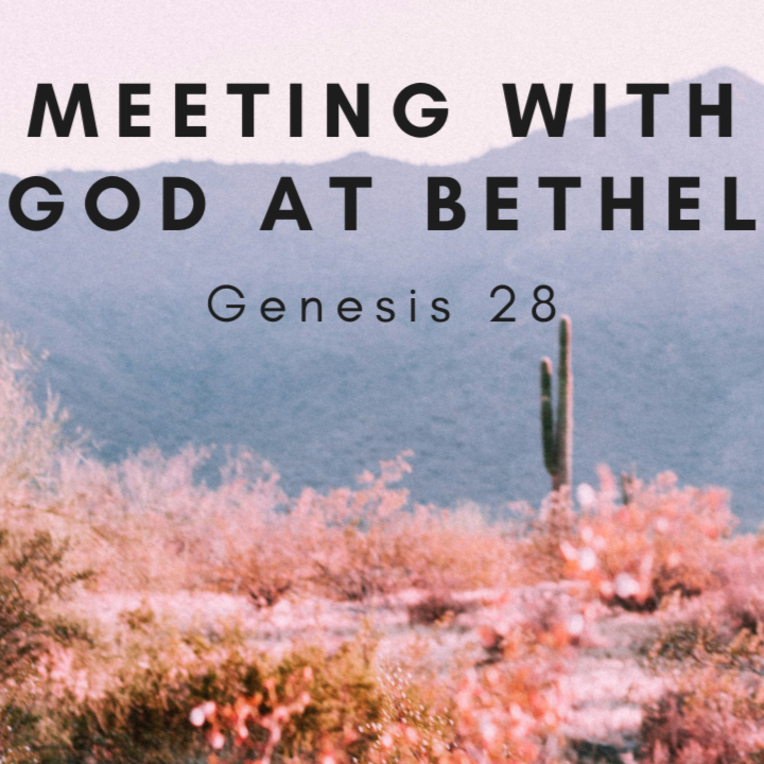 Meeting with God at Bethel - Genesis 28 (Gareth Orr) episode artwork