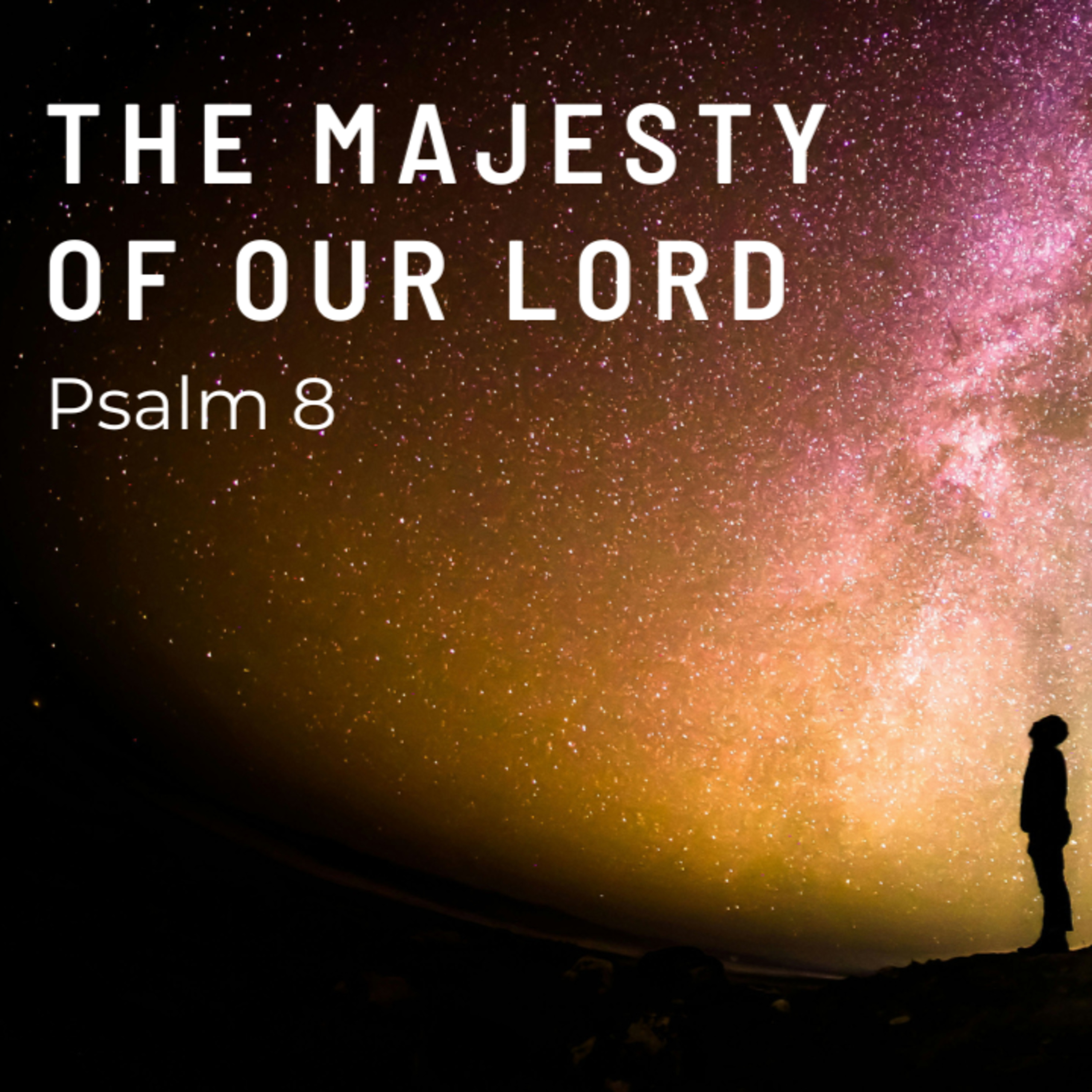 The Majesty of Our Lord - Psalm 8 (Nick Jones) episode artwork