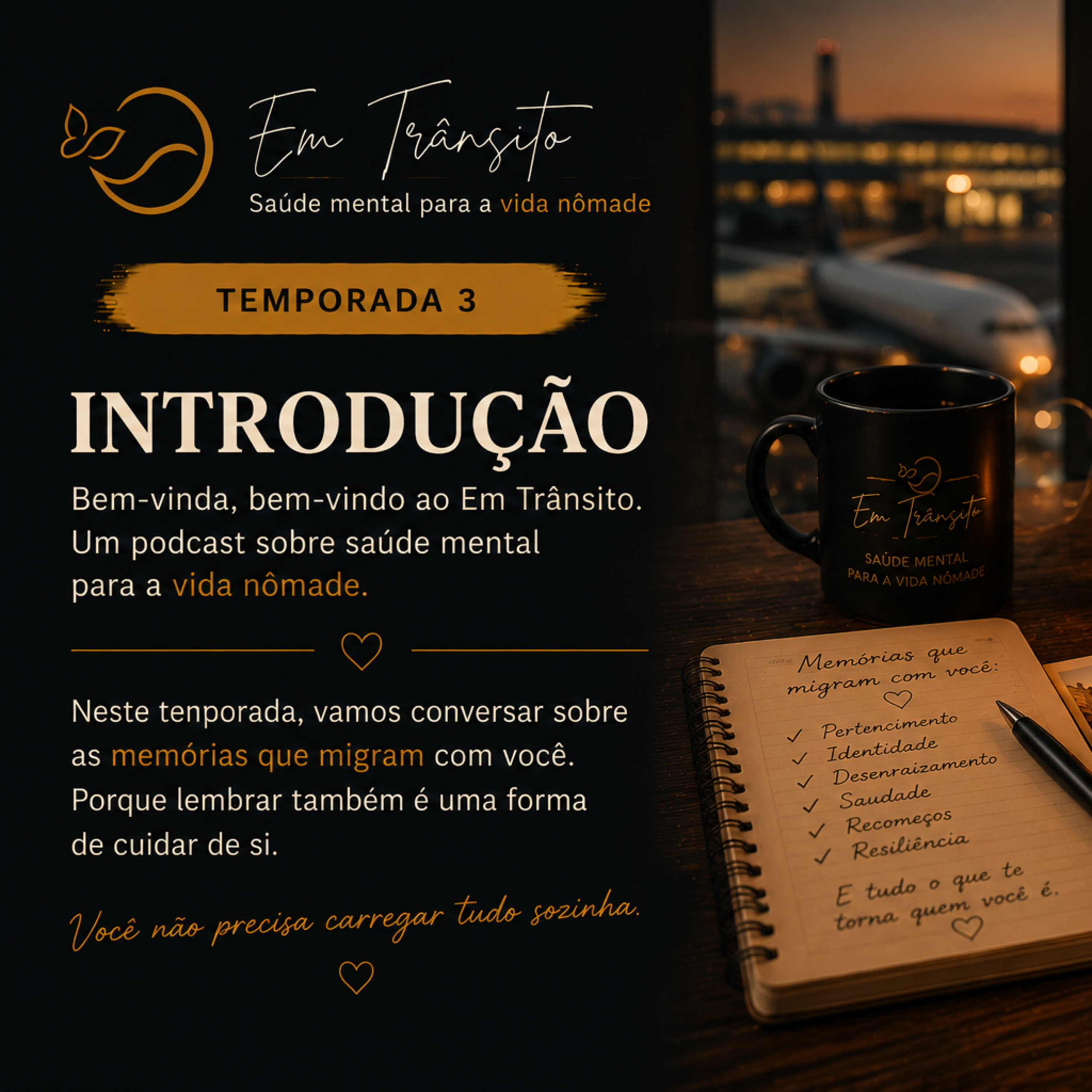 Temporada 3 — Introdução: As memórias que migram com você episode artwork
