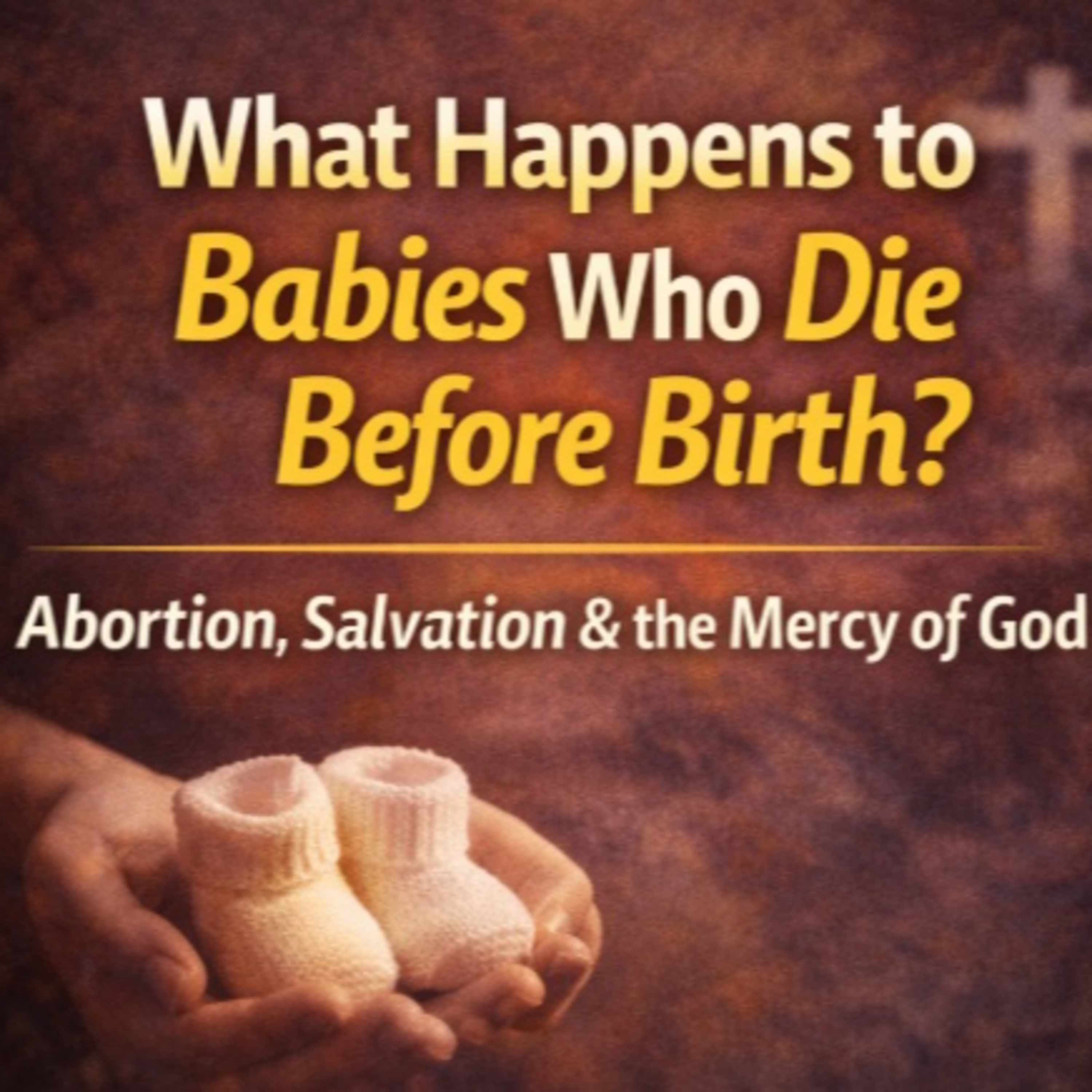 What happens to babies who die before birth? episode artwork