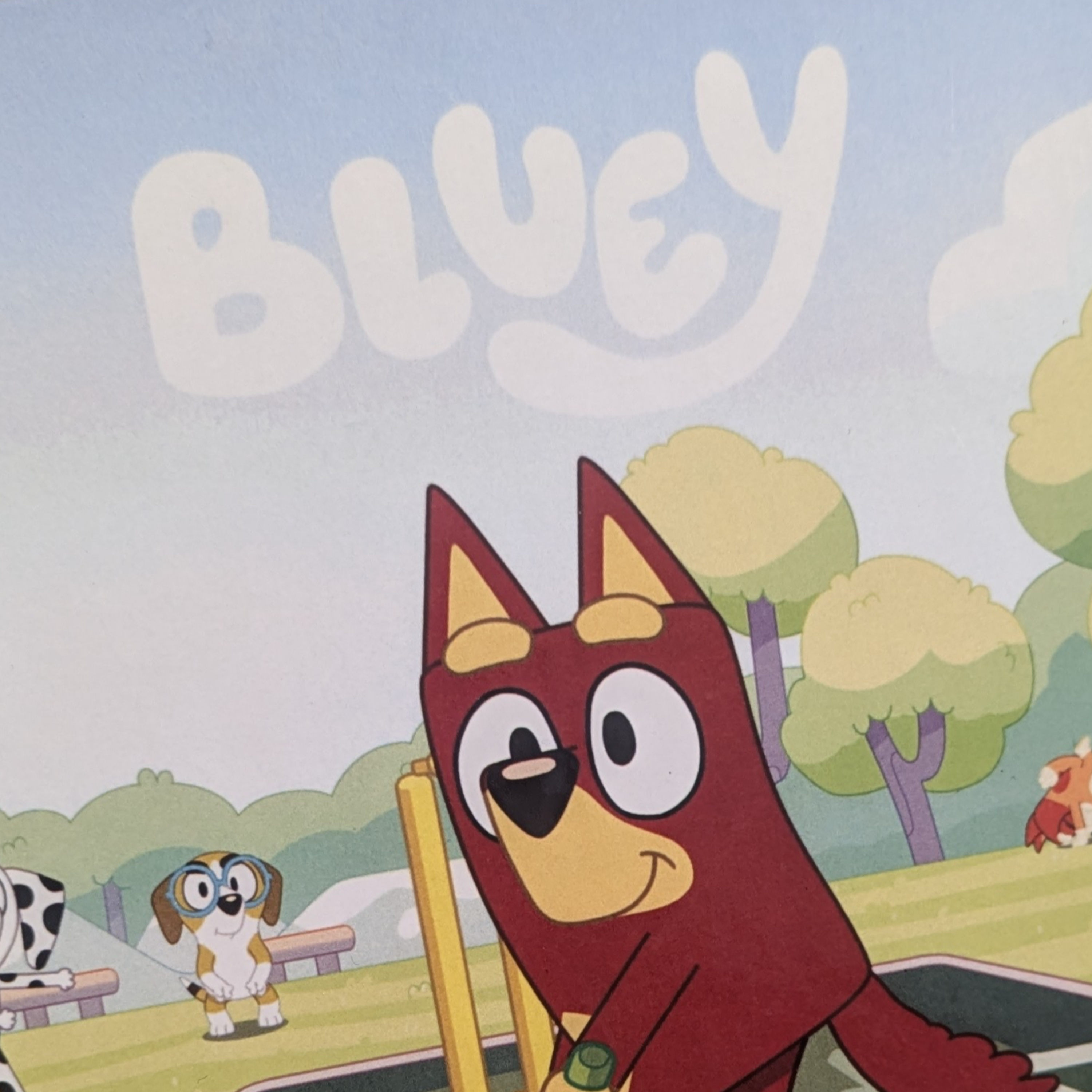 Bluey Cricket episode artwork