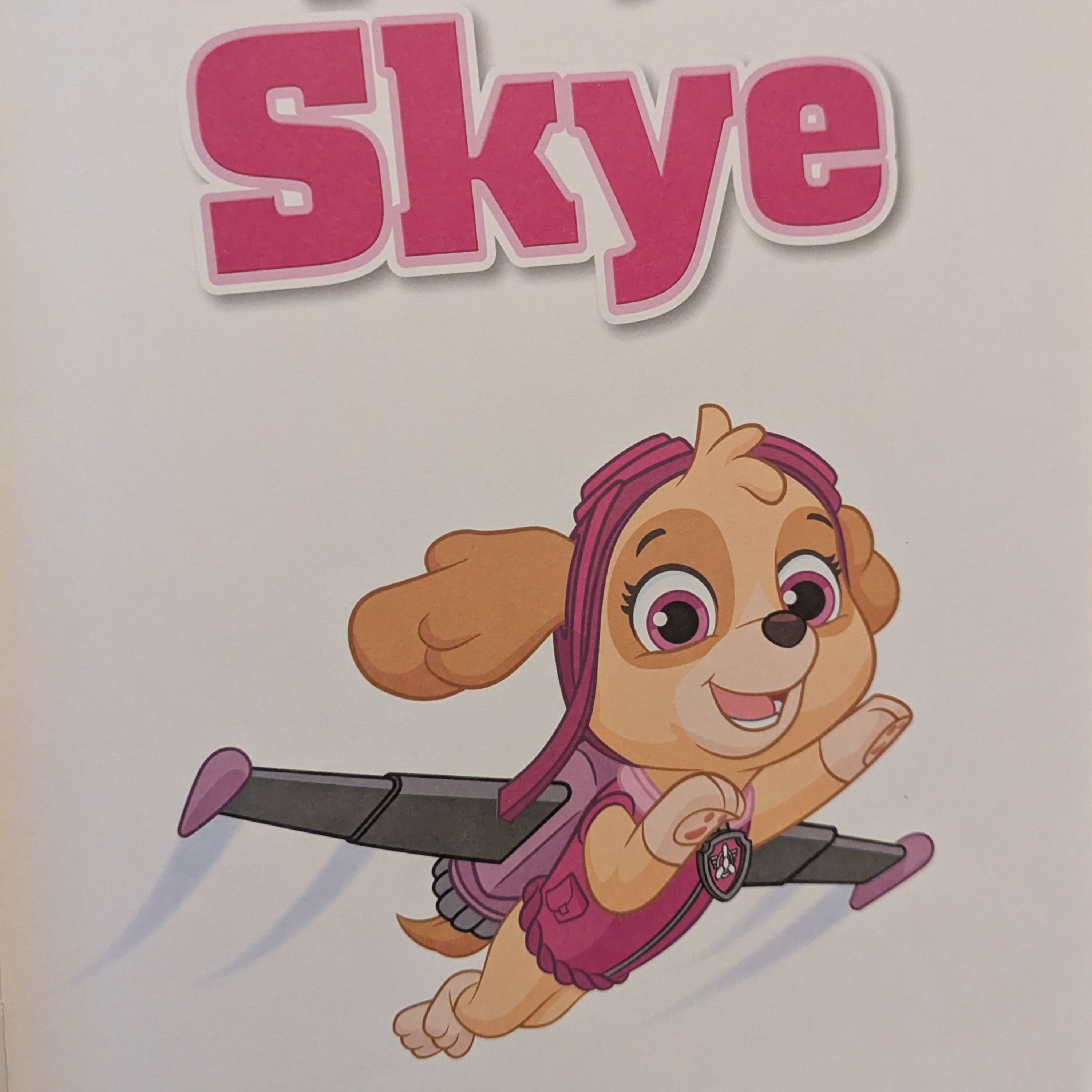 PAW Patrol - High-Flying Skye episode artwork