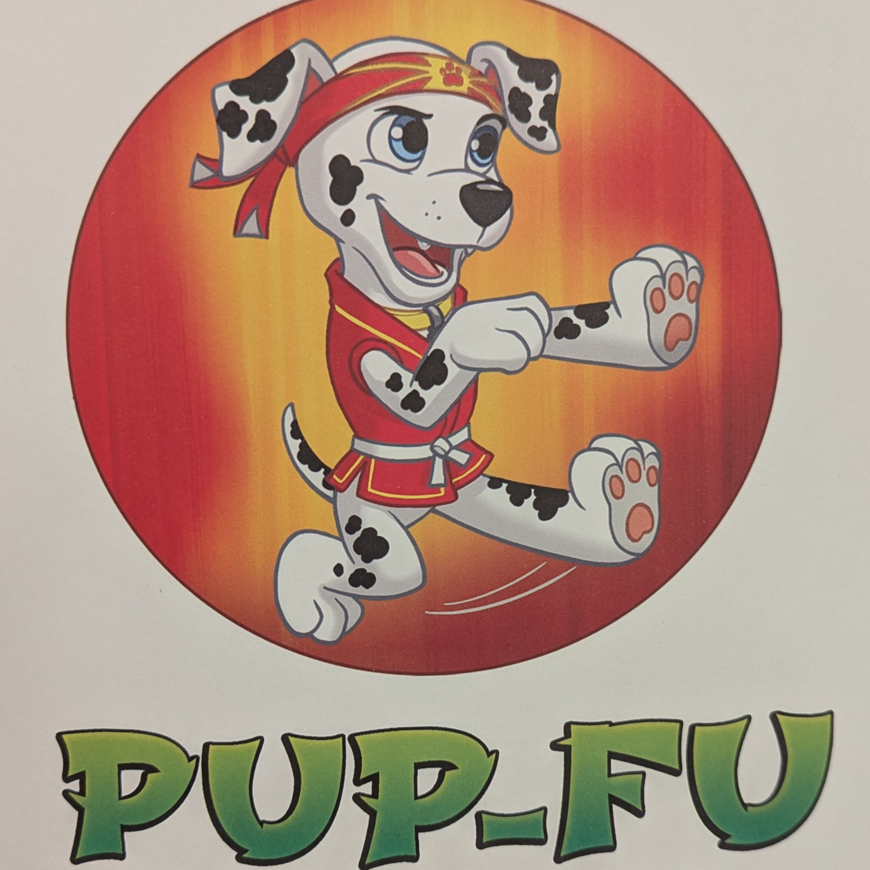 PAW Patrol - Pup Fu Power!  episode artwork