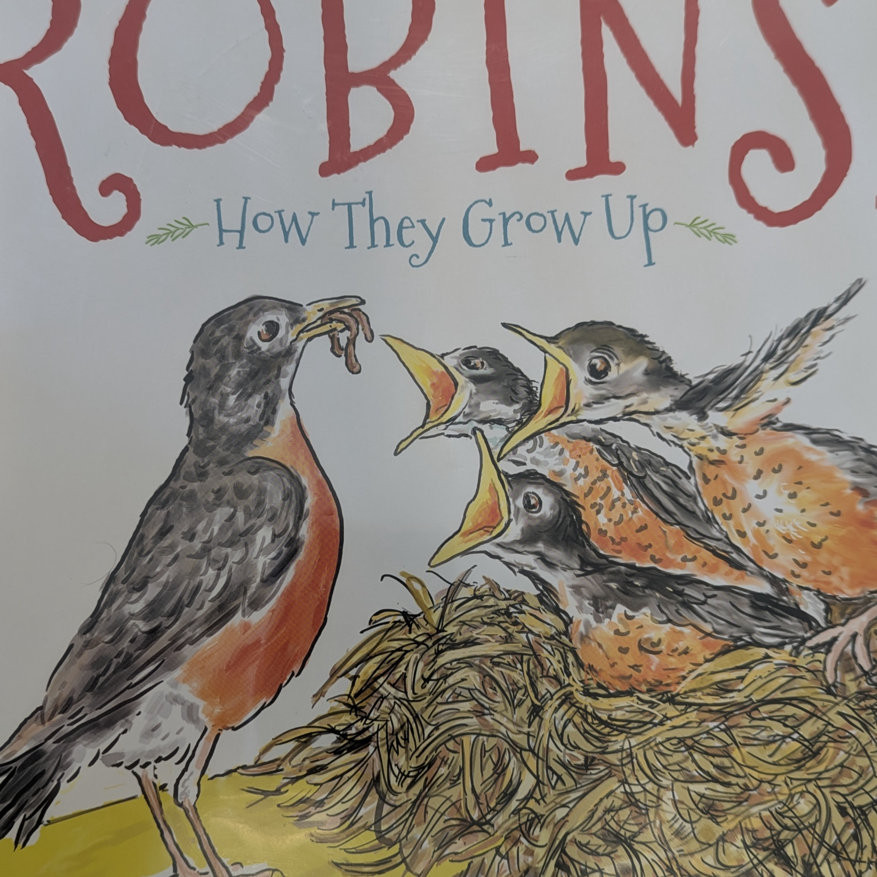 Robins! How They Grow Up episode artwork