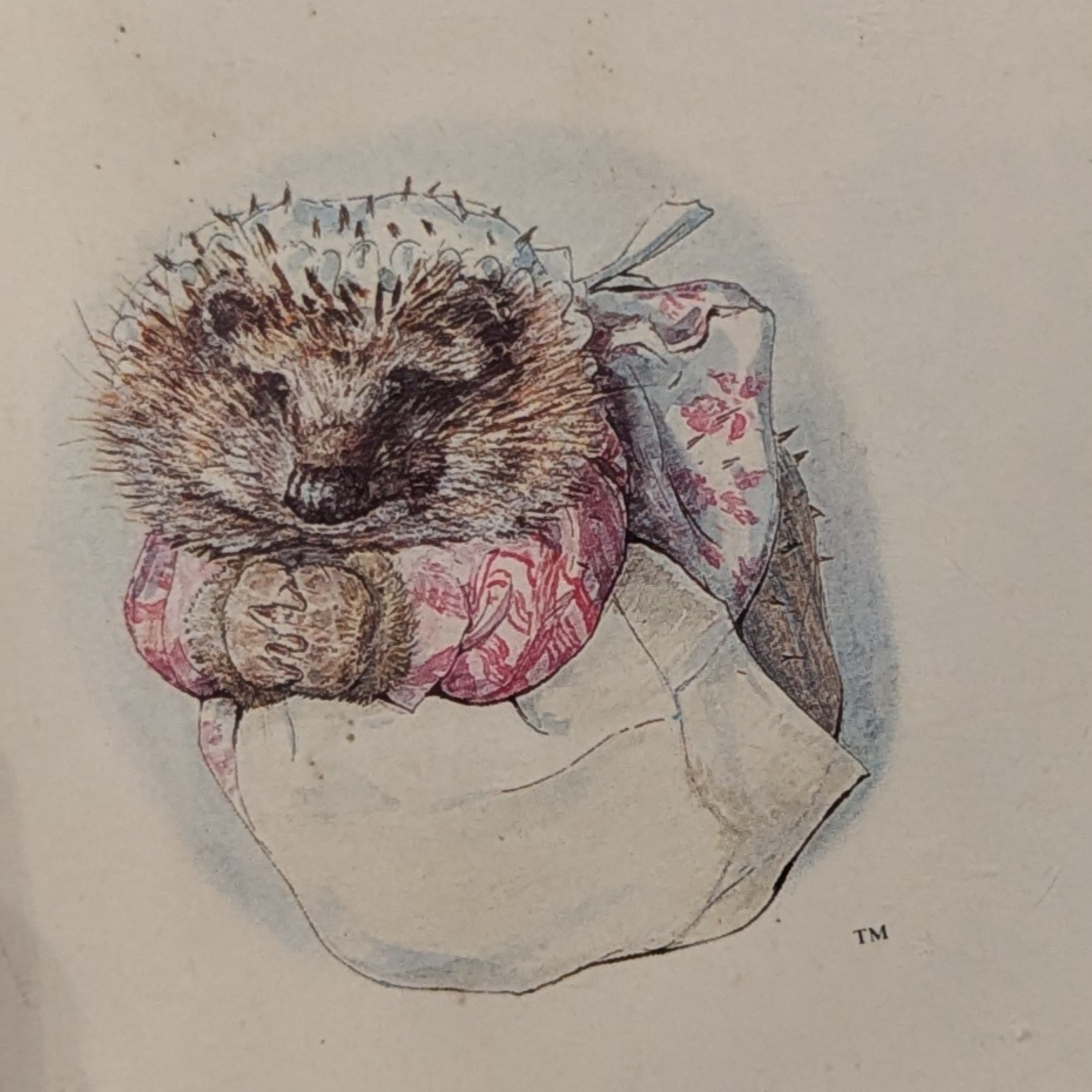 Storytime: The Tale of Mrs. Tiggy Winkle episode artwork
