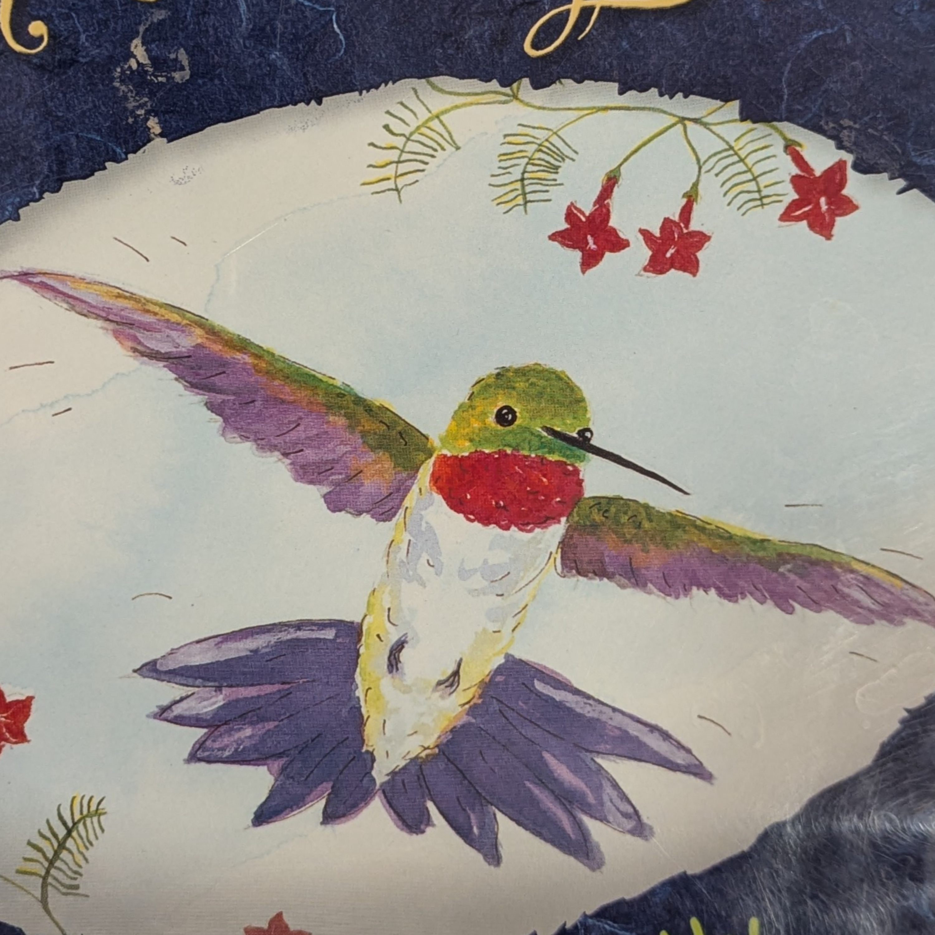 Kids Storytime - It's a Hummingbird's Life episode artwork
