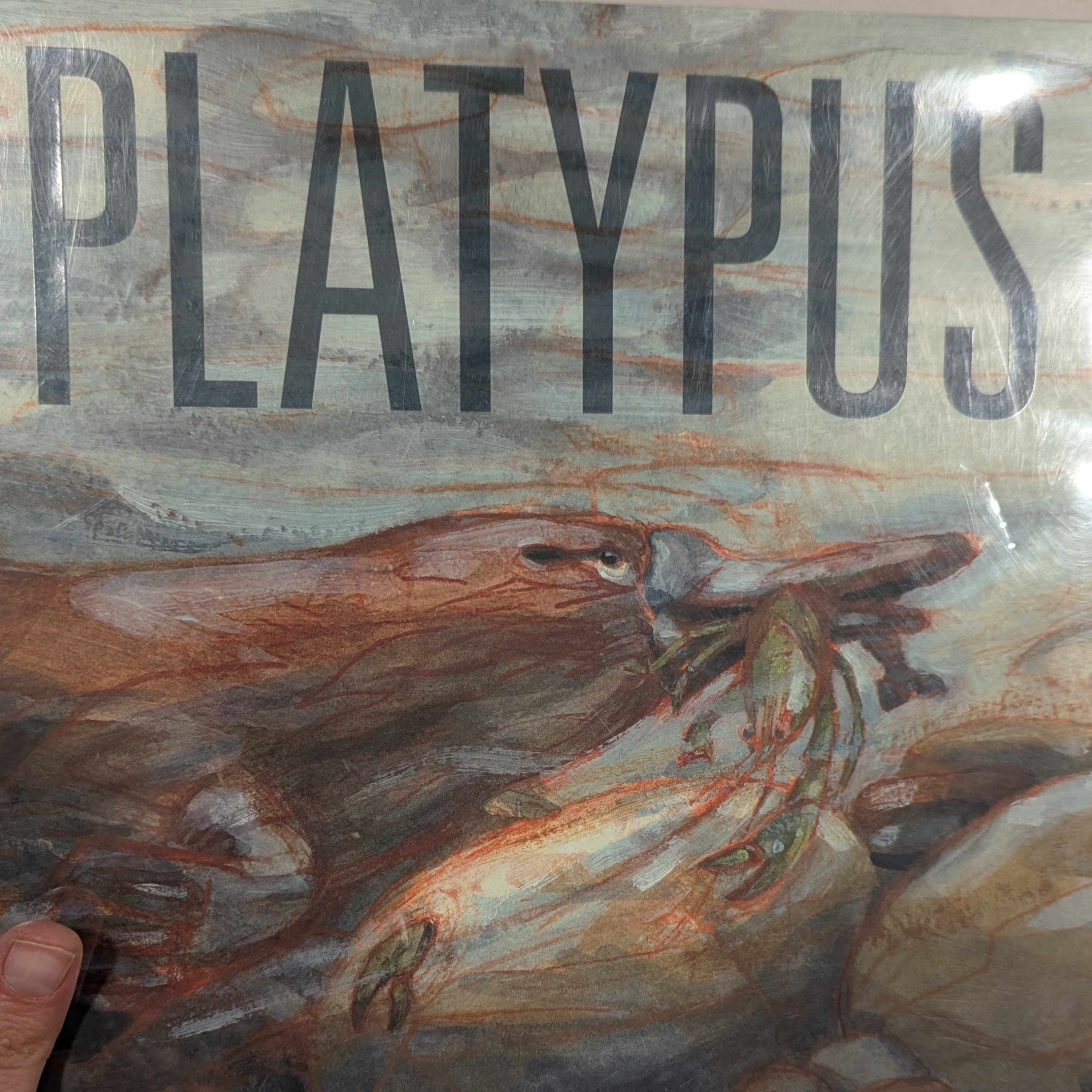 Kids Storytime - Platypus episode artwork