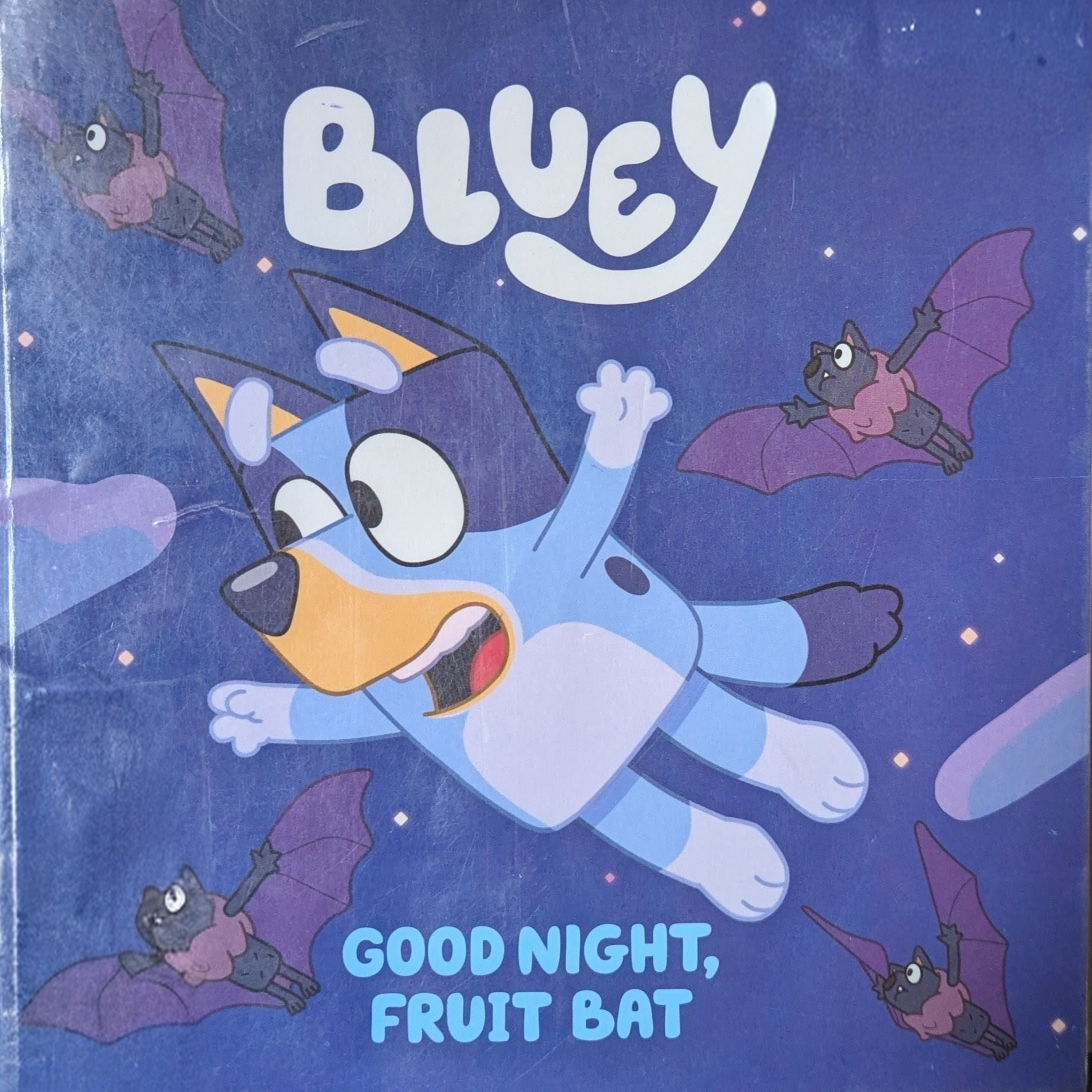 Kids Story Time - BLuey: Good Night, Fruit Bat episode artwork