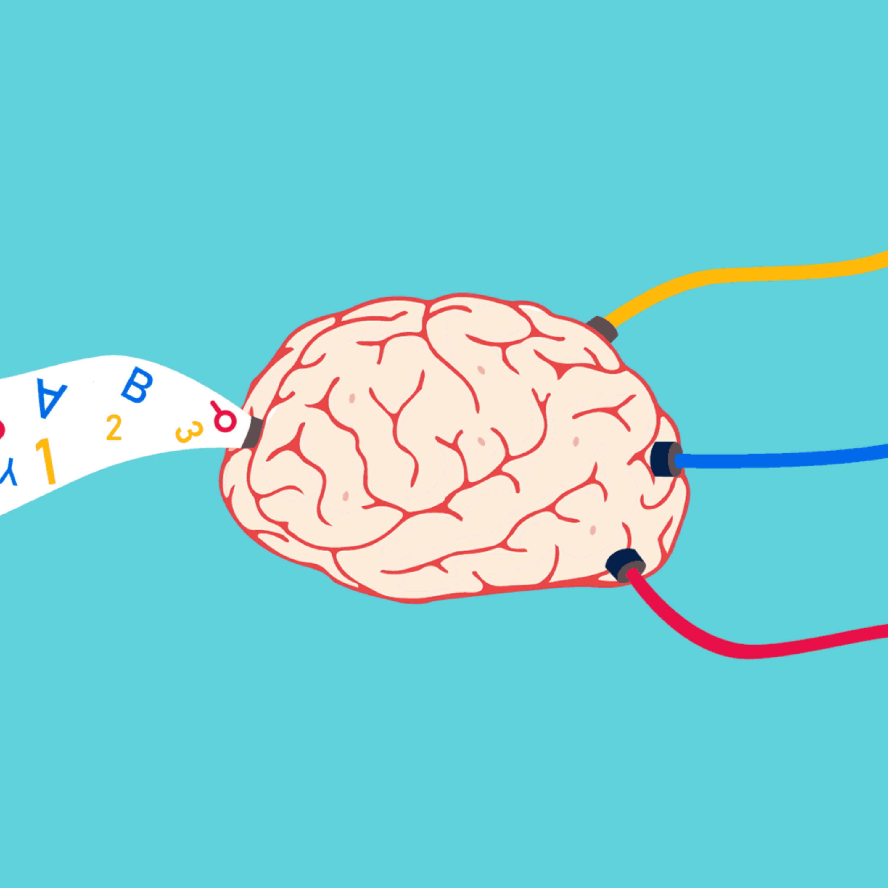 The Brain May Learn More from Rare Events than from Repetition