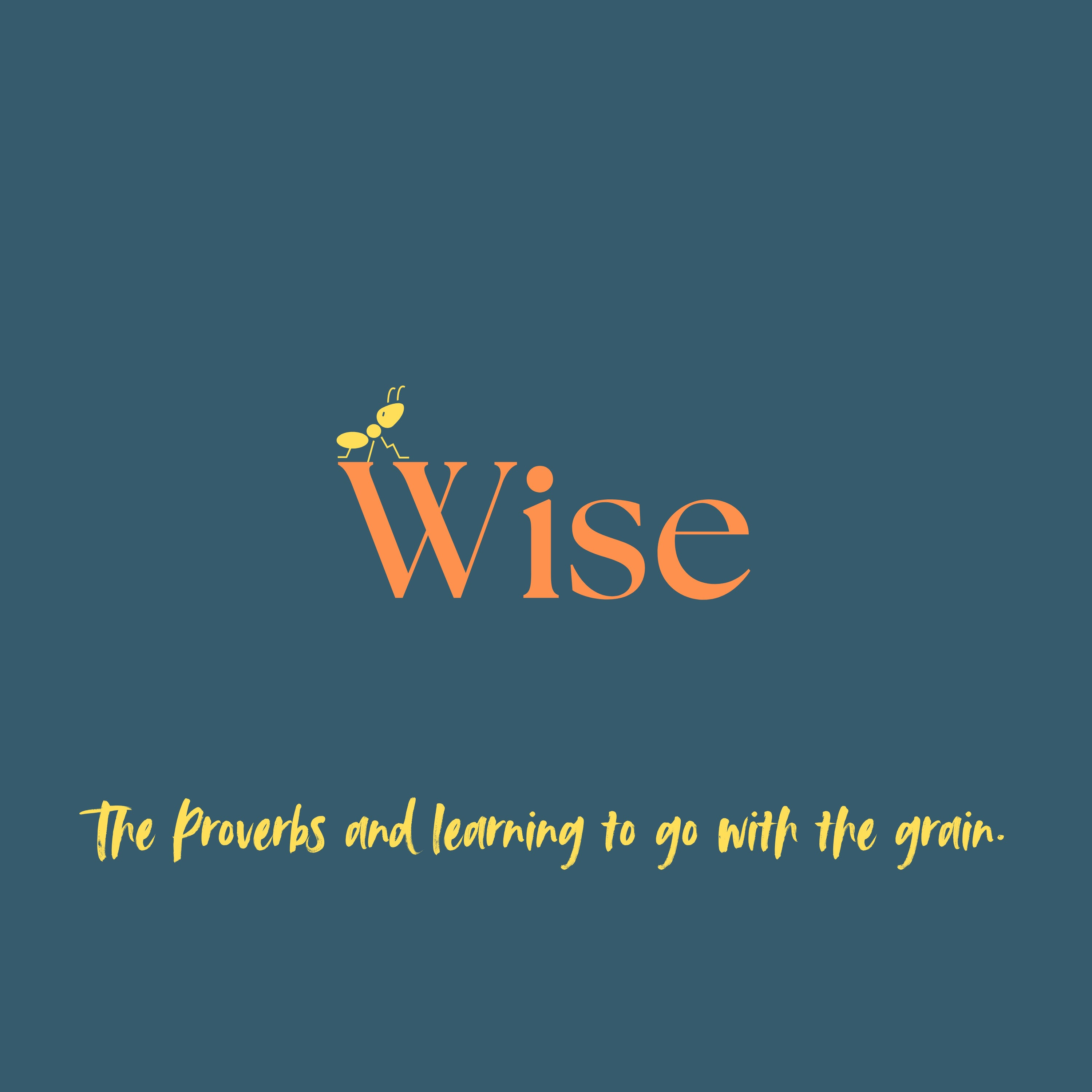 Wise: The Company We Keep (I) episode artwork
