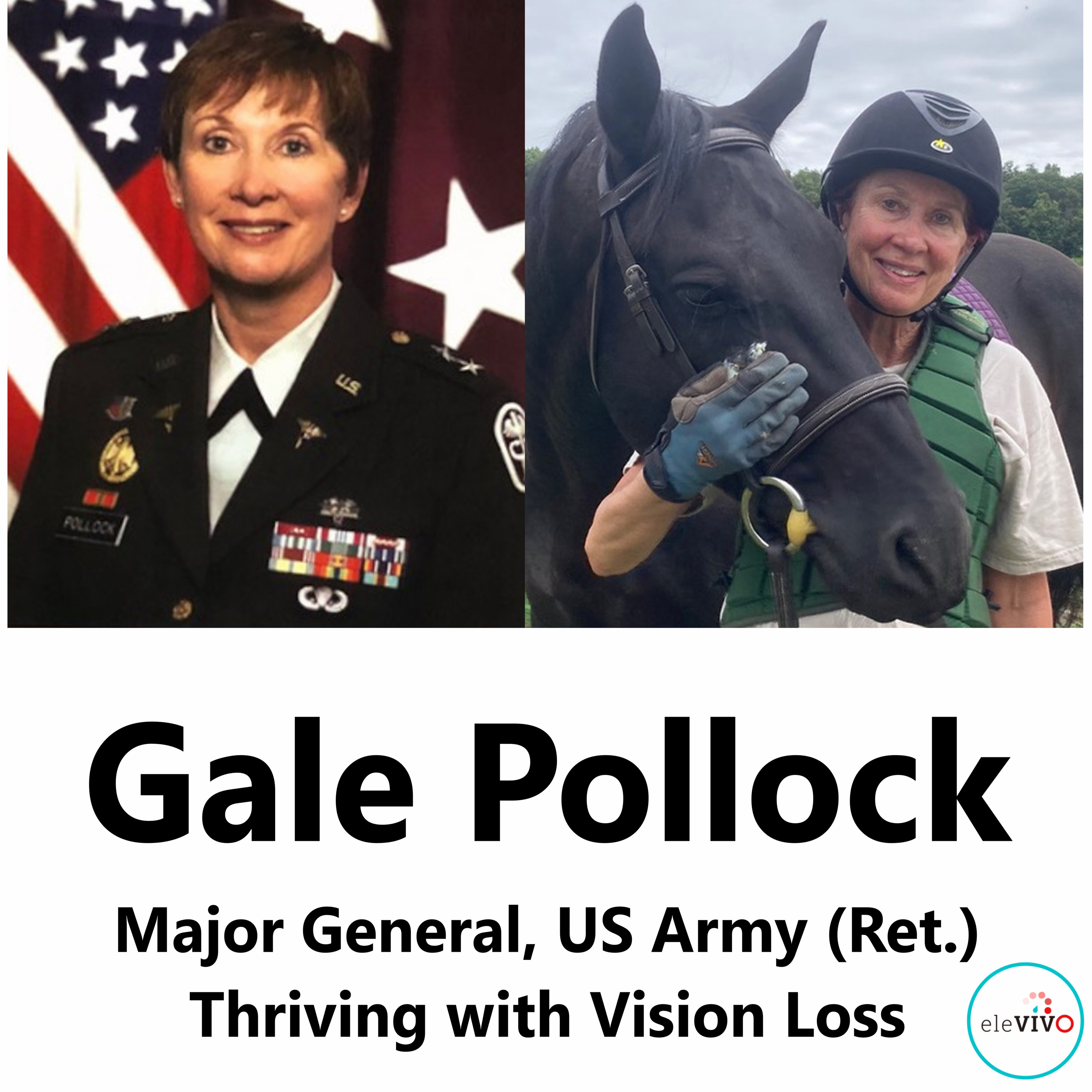 When a General Couldn't Look Away | Gale Pollock, Founder of eleVIVO episode artwork