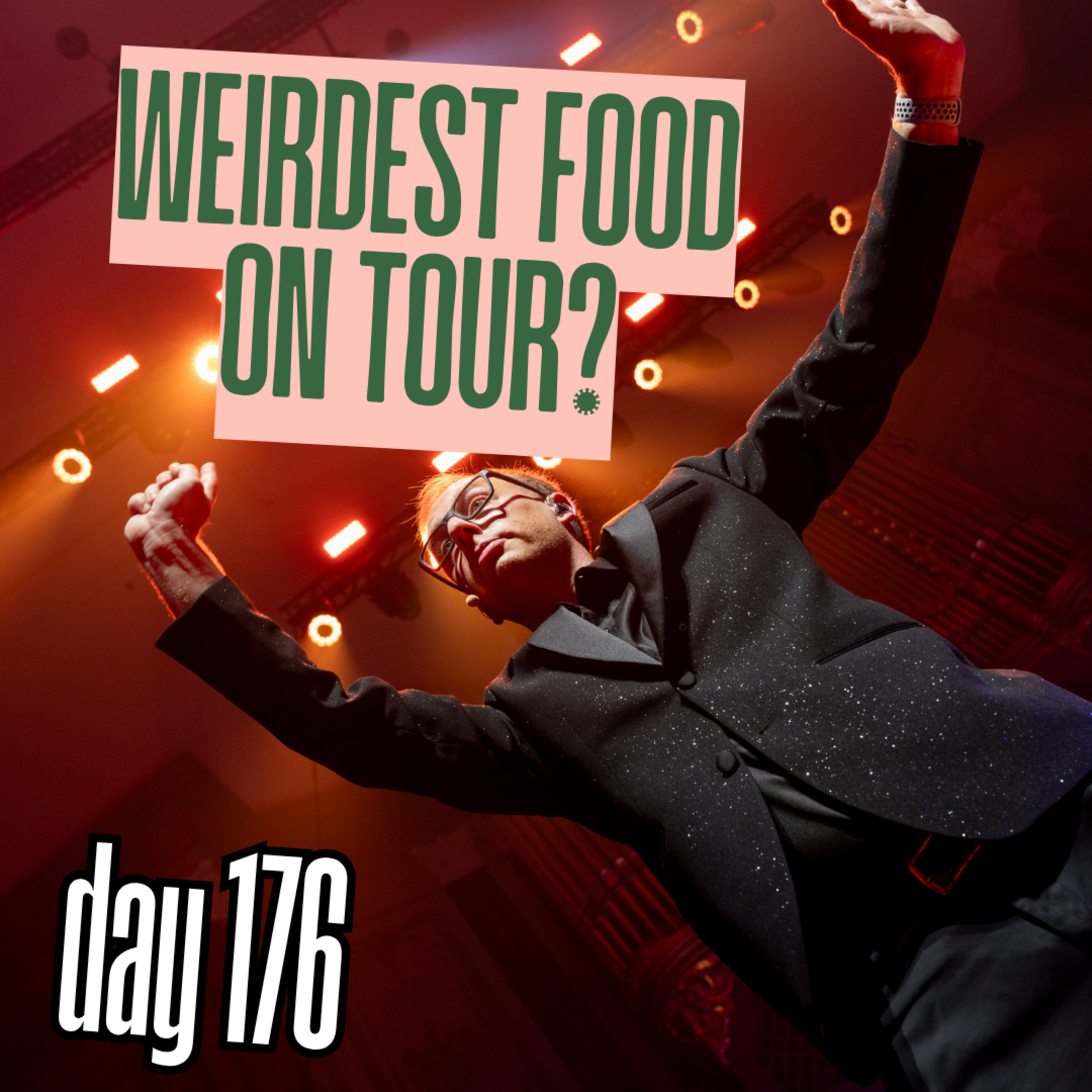 Day 176: Weirdest Food On Tour? episode artwork